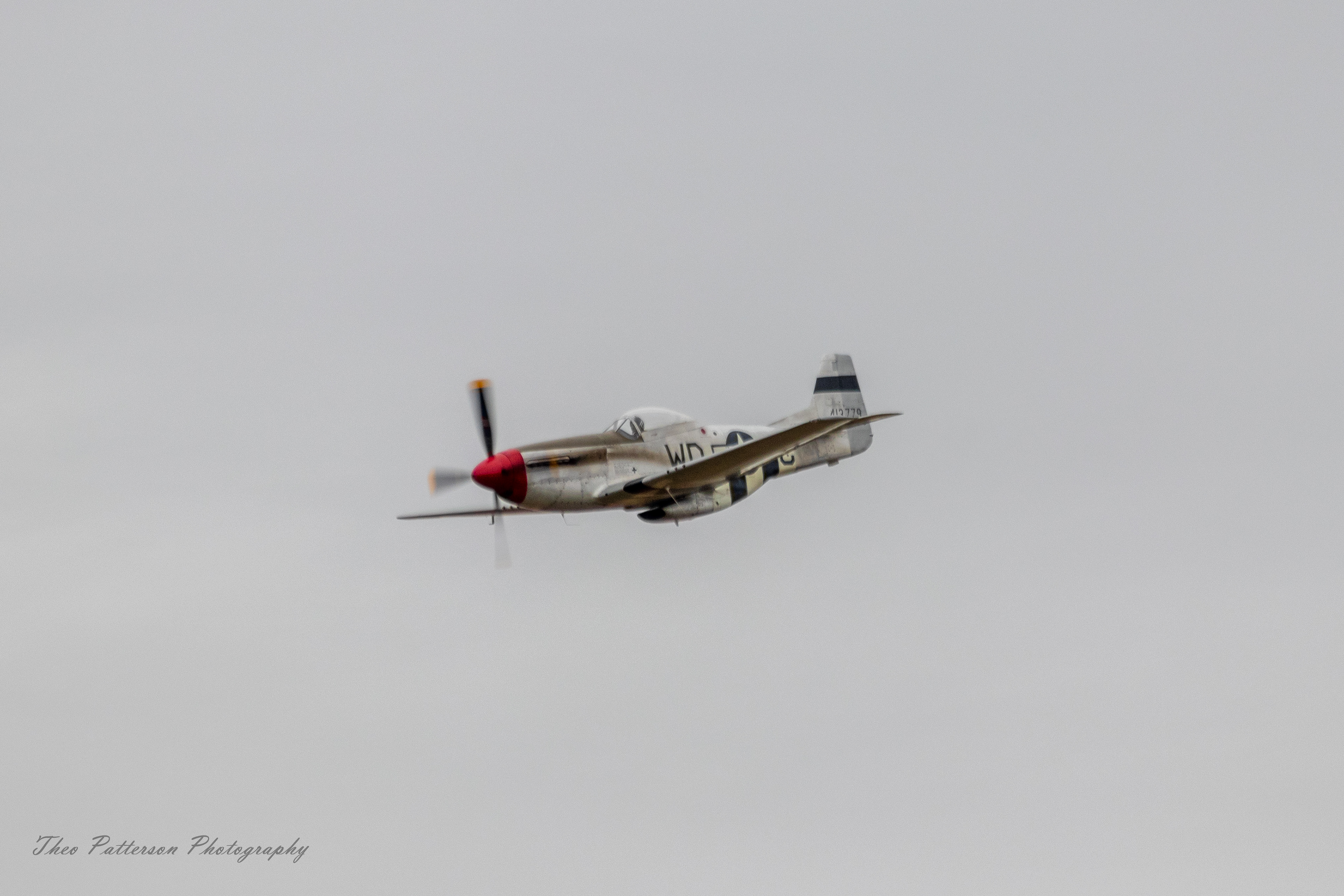 P-51 Mustang "Warhorse"