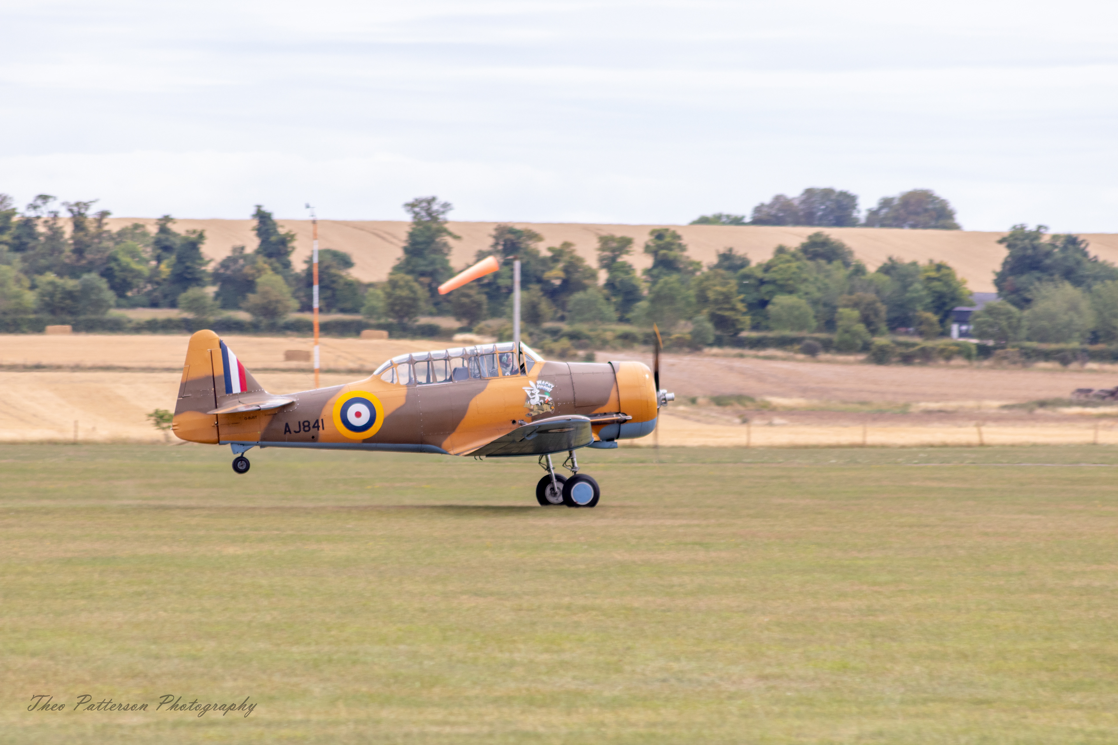 T6 Harvard "Wacky Wabbit"
