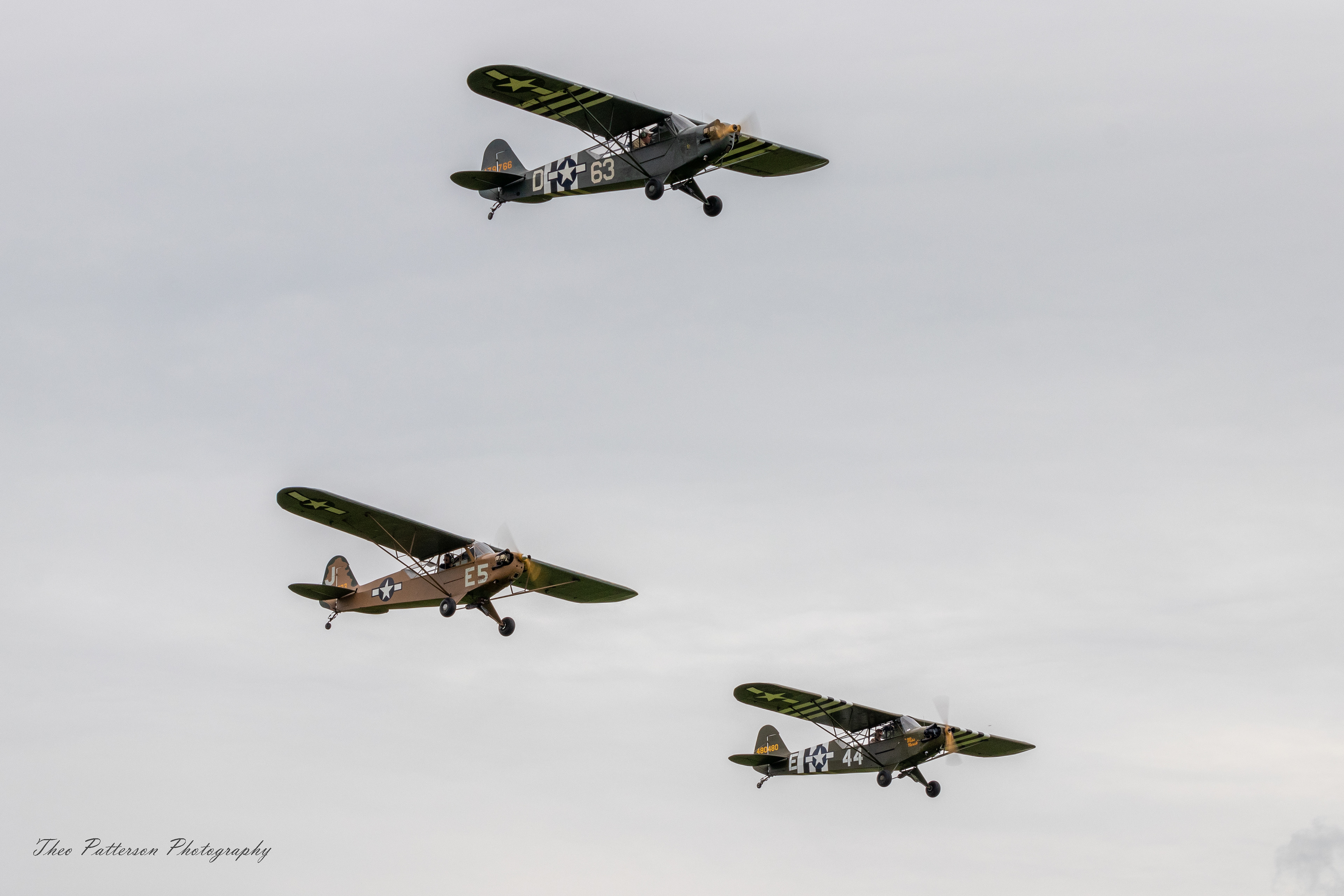 Piper Grasshopper