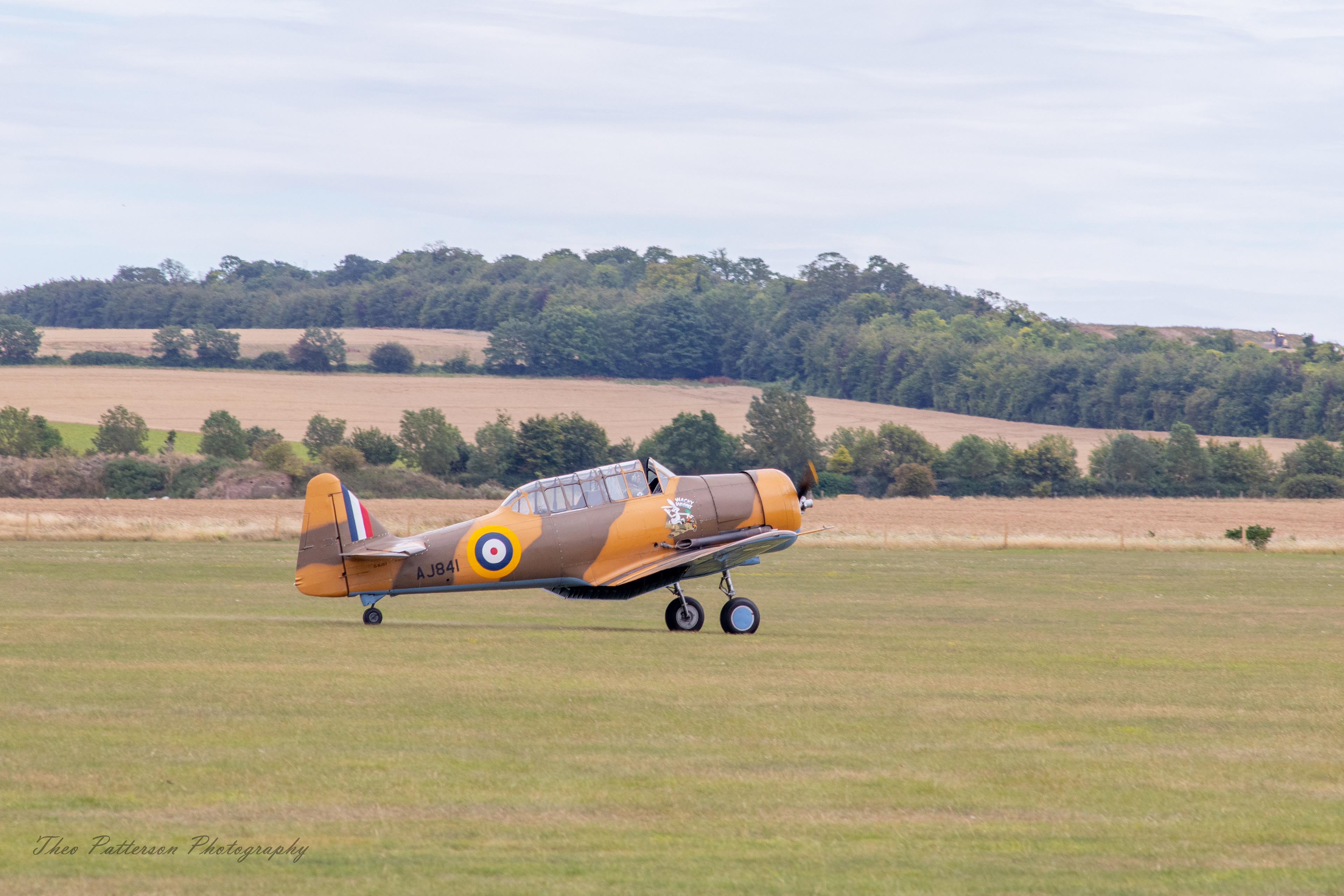 T6 Harvard "Wacky Wabbit"