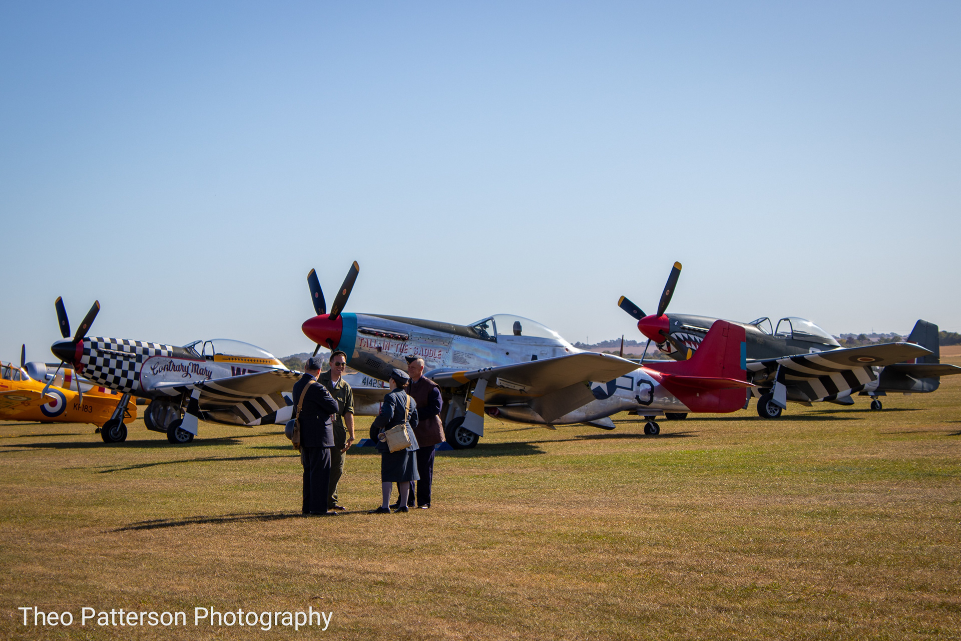 Mustangs "Contrary Mary" , "Tall In The Saddle" and "Sharkmouh" with reenactors