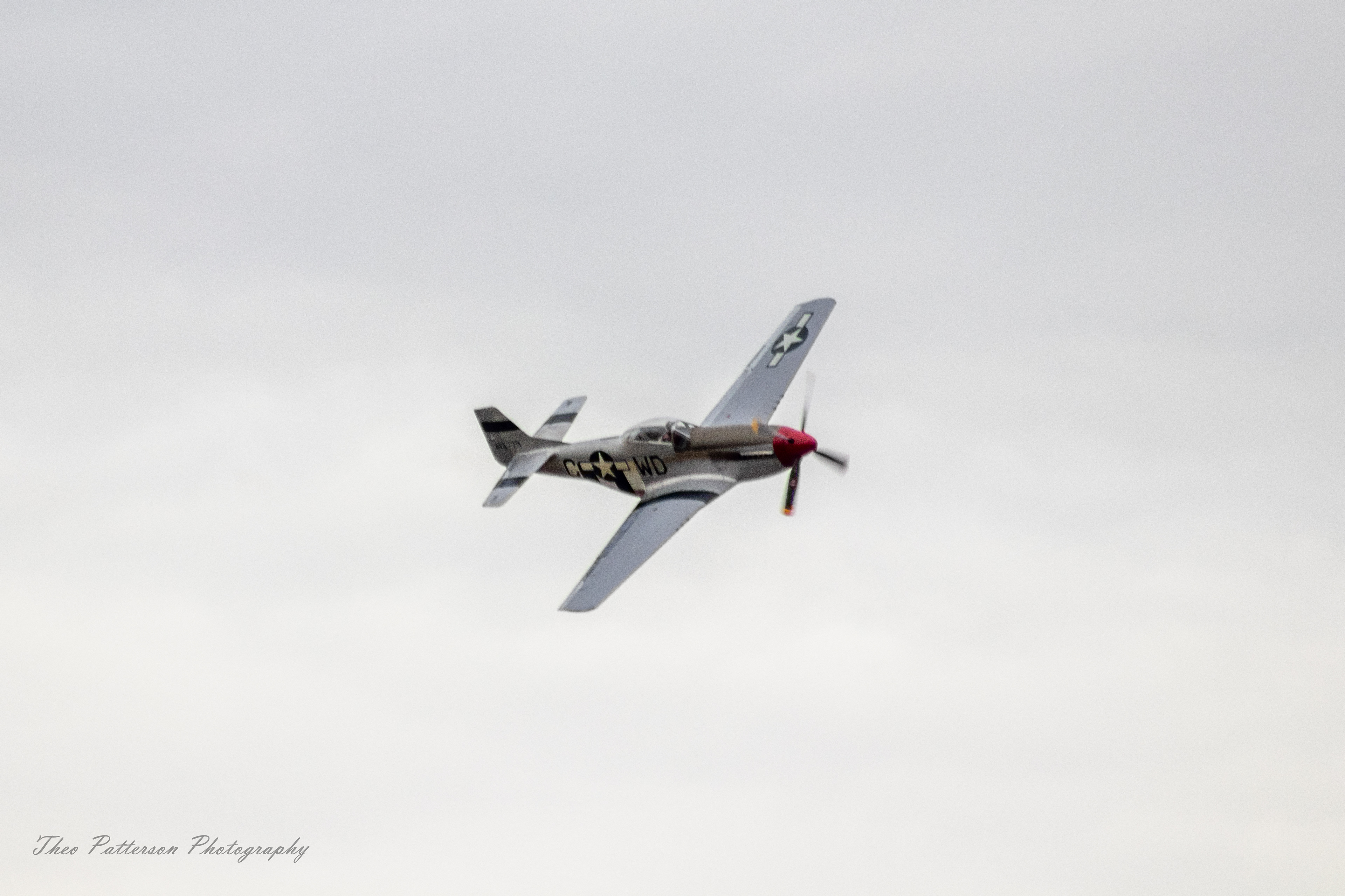 P-51 Mustang "Warhorse"