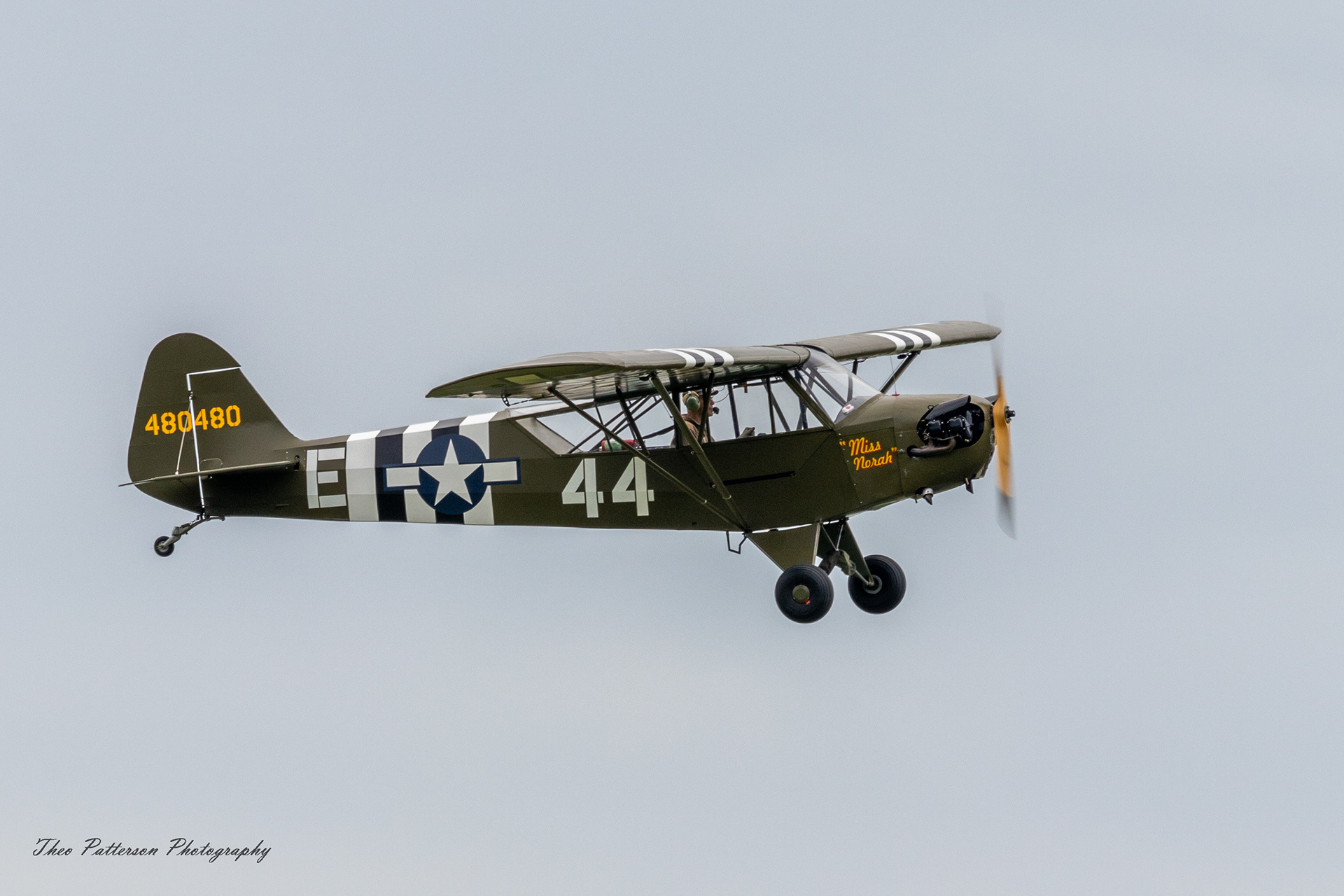 Piper Grasshopper