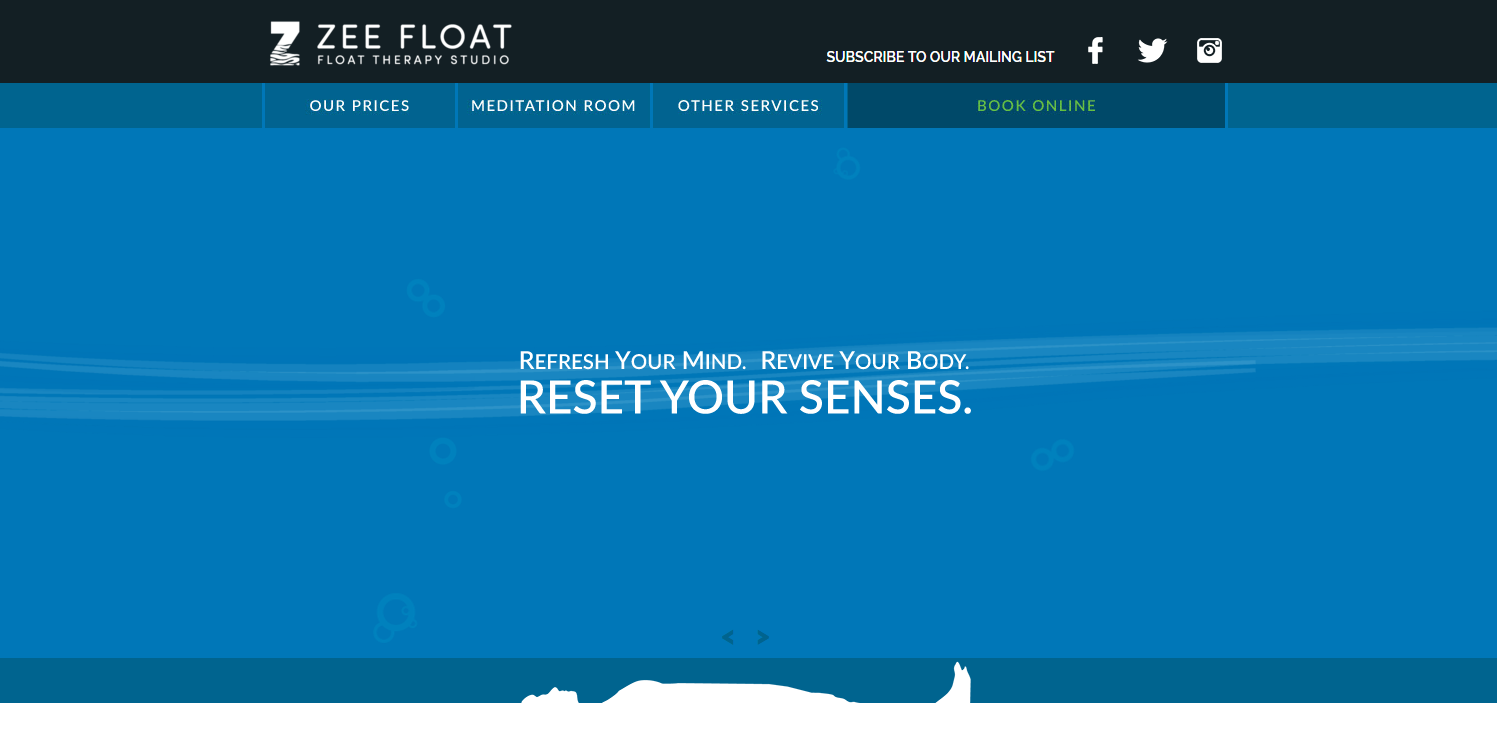 Website Design