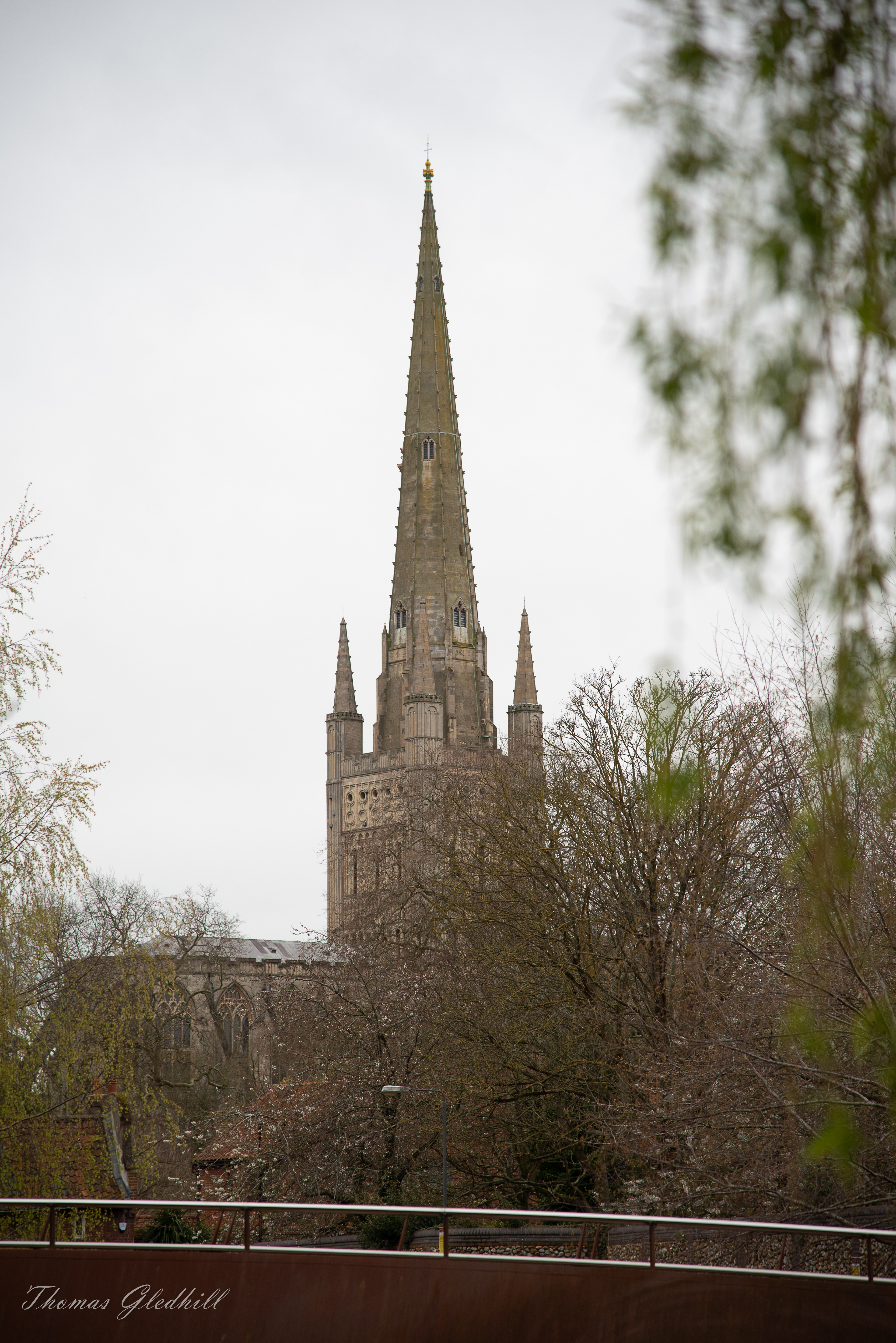 You can see it everywhere