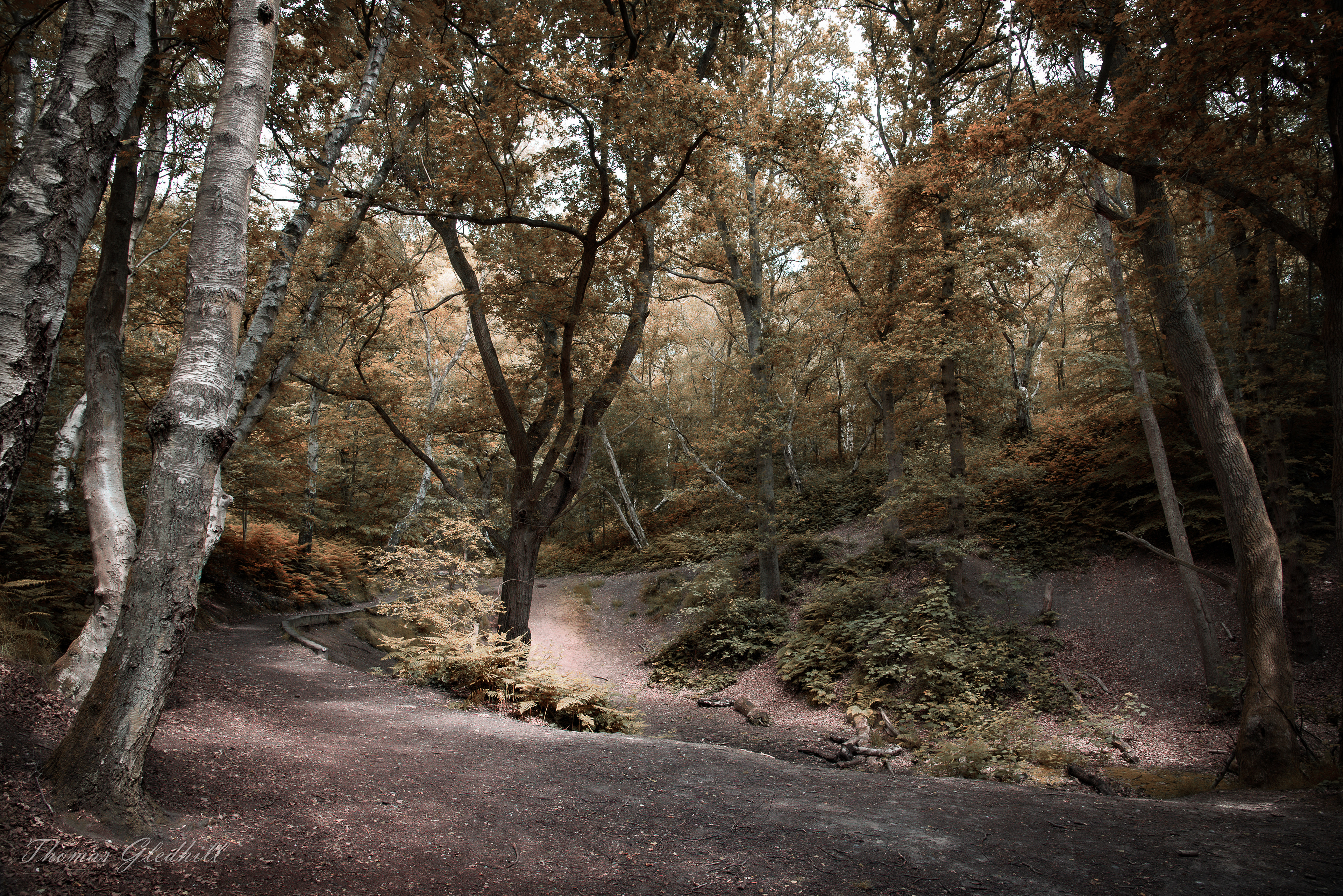 Autumn Starts