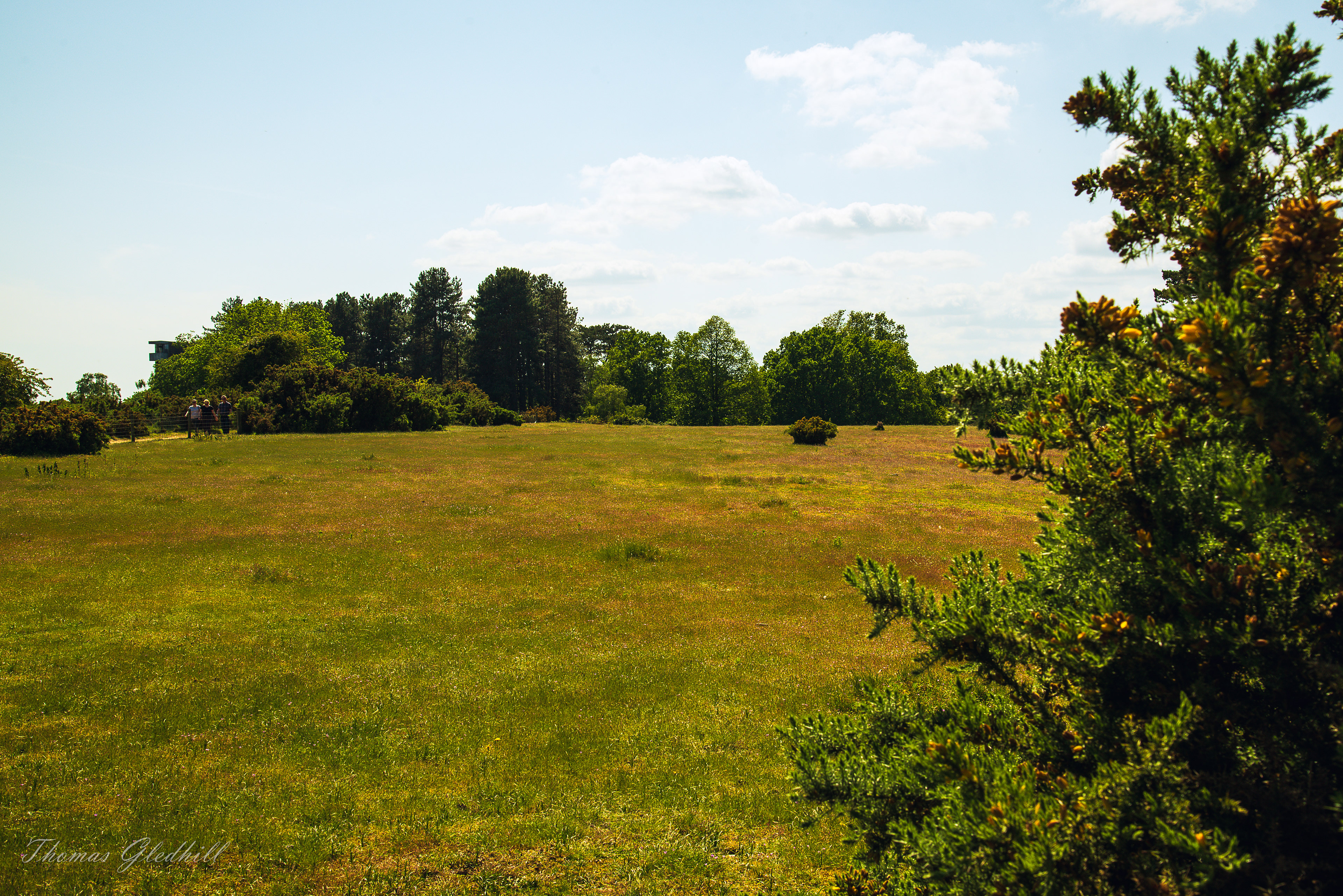 Sutton Hoo