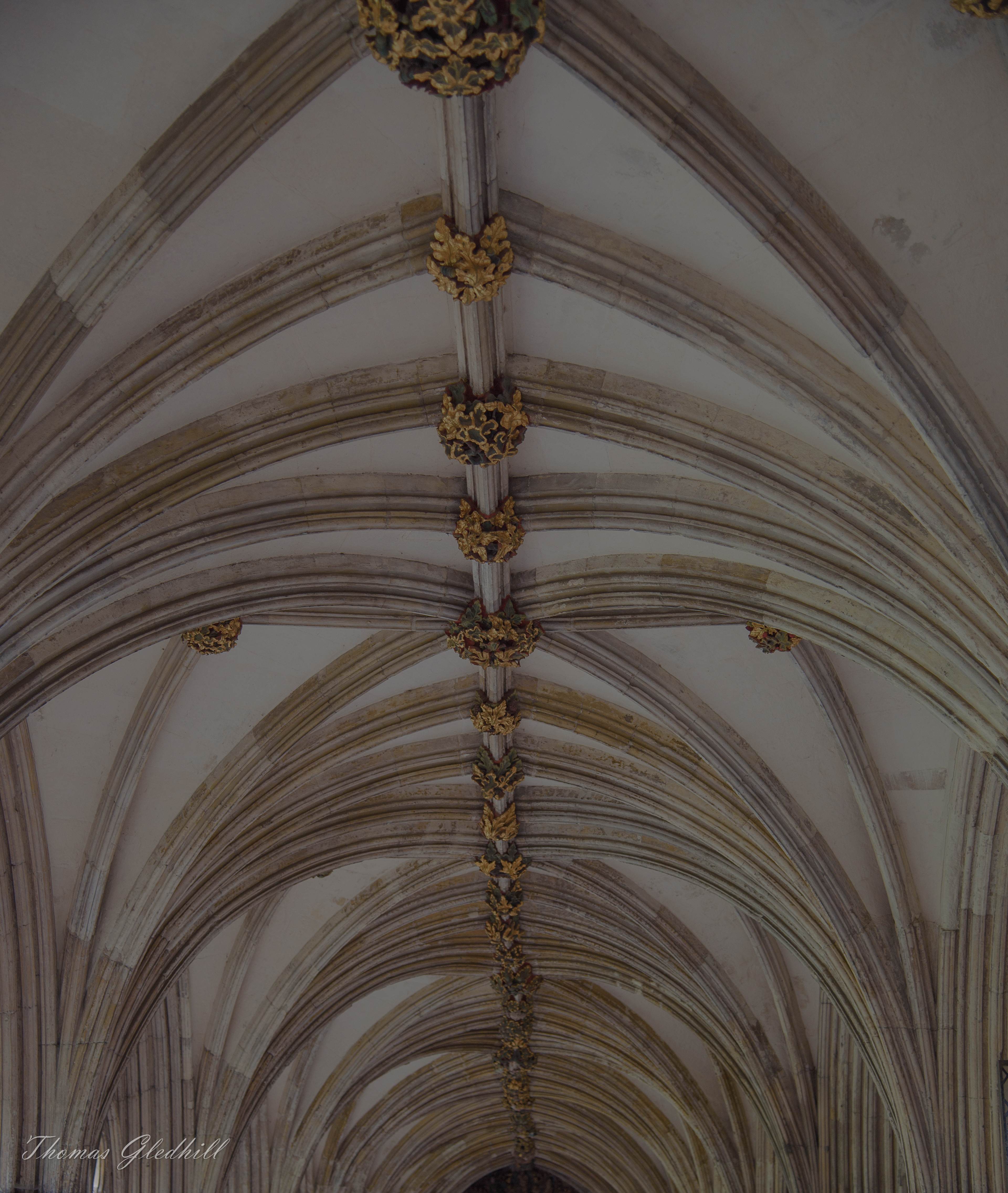 So peaceful Cloisters