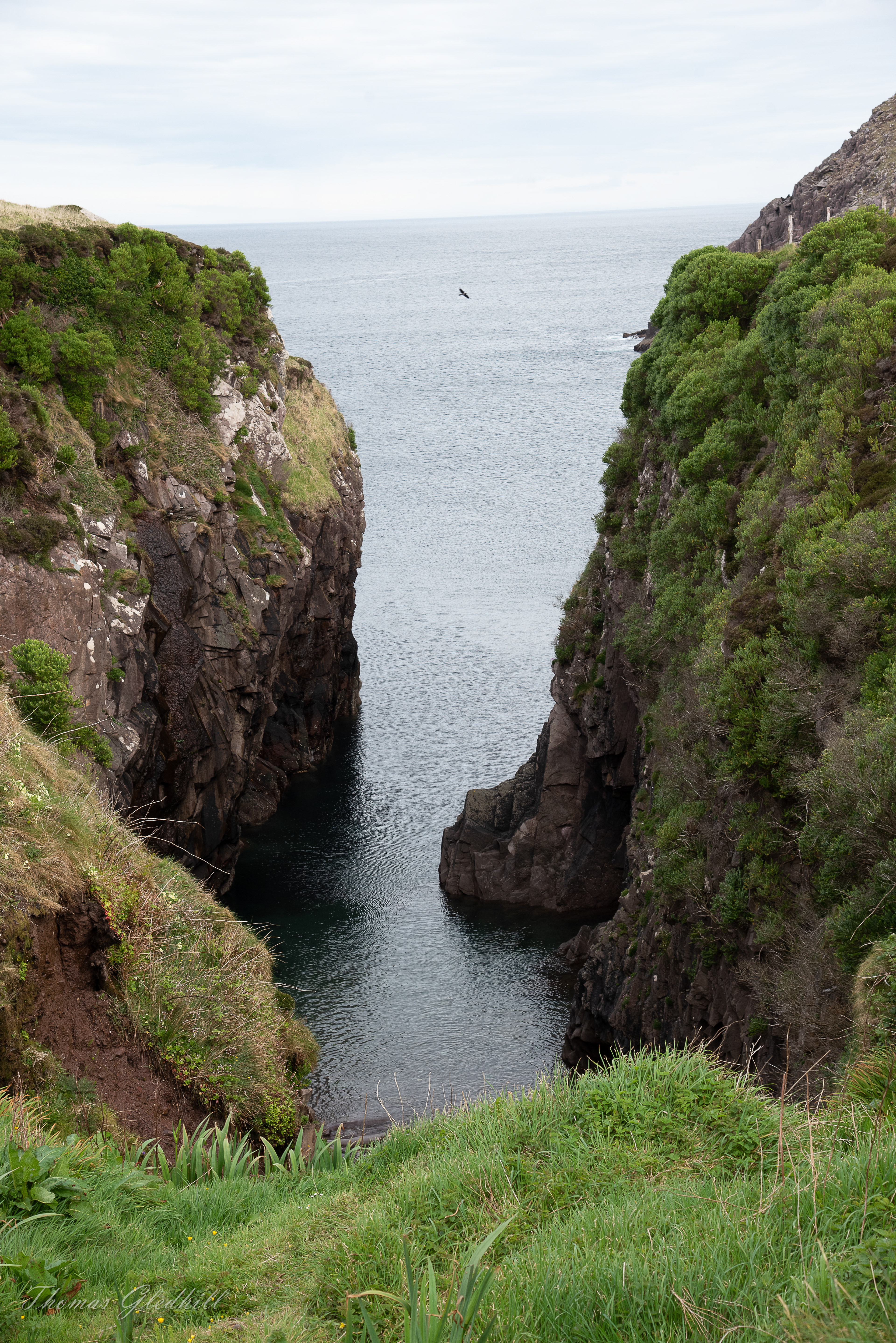 St. Brendans Bay, Dingle