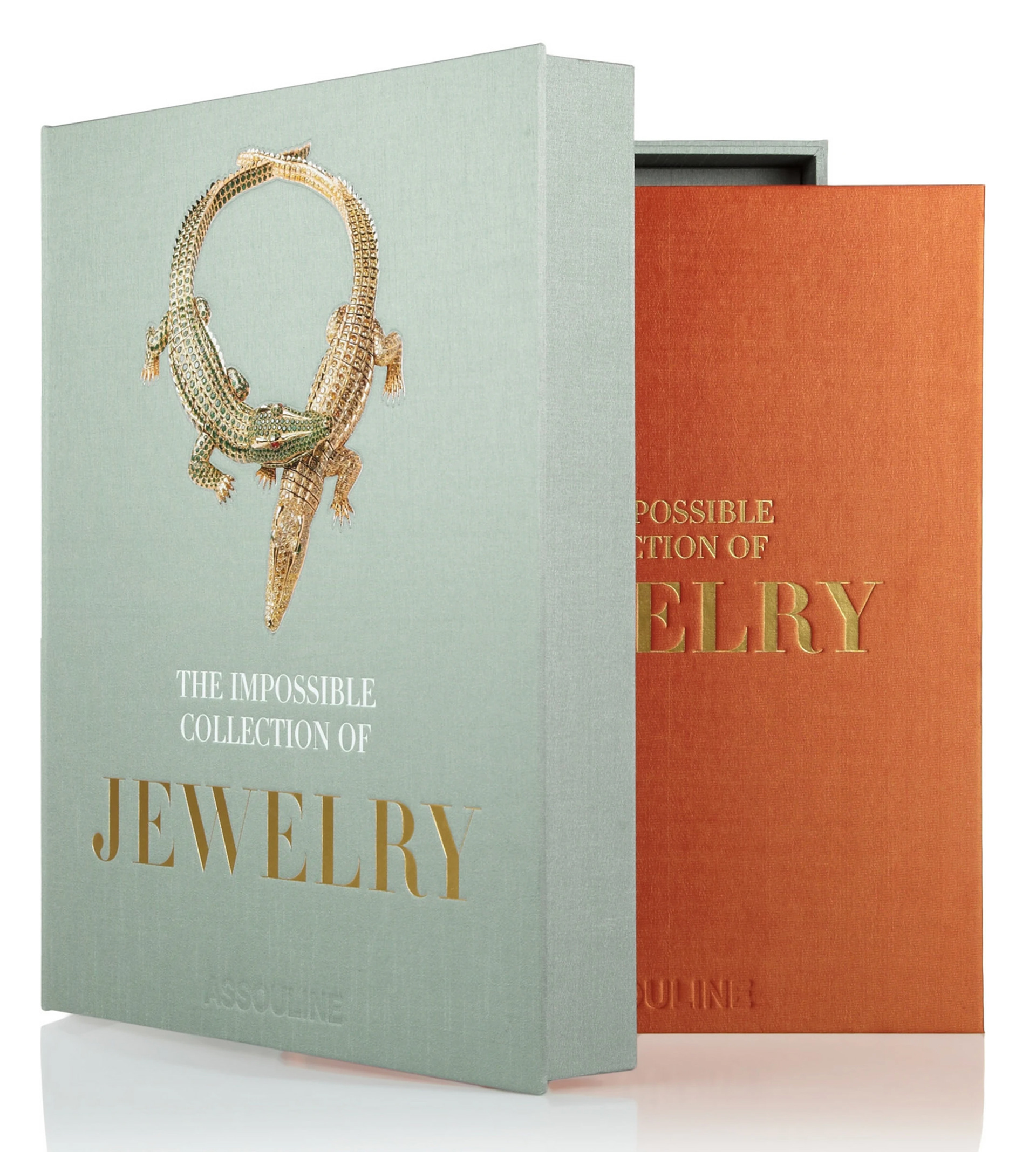 The Impossible Collection of Jewelry book