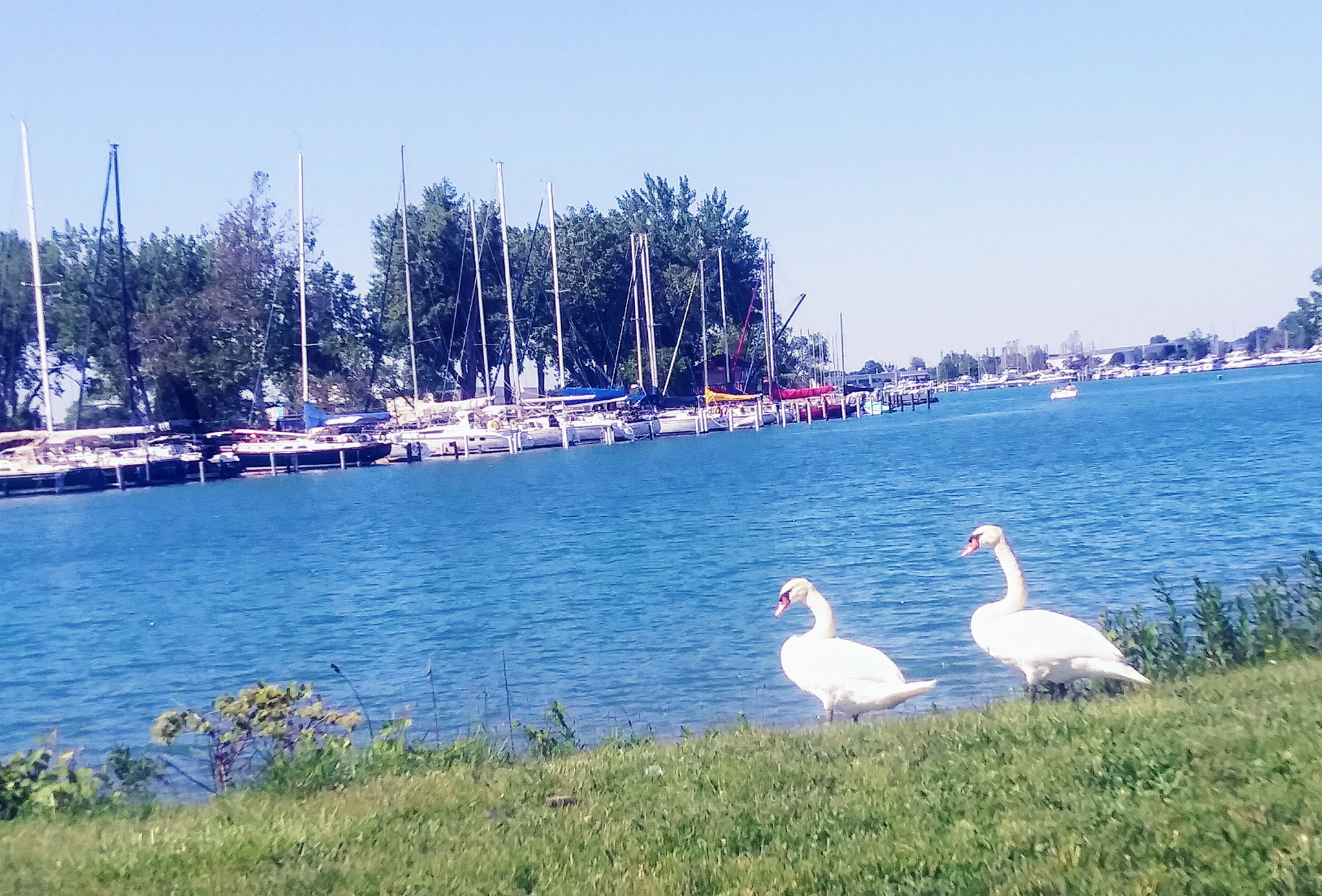 Over looking the Blue