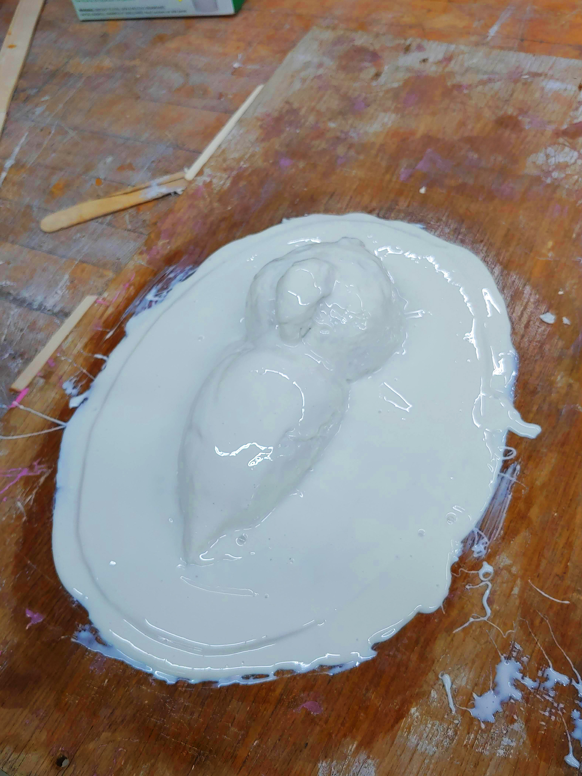 A relief sculpture was made of a parrot out of plasticine and then covered in multiple layers of silicone rubber.