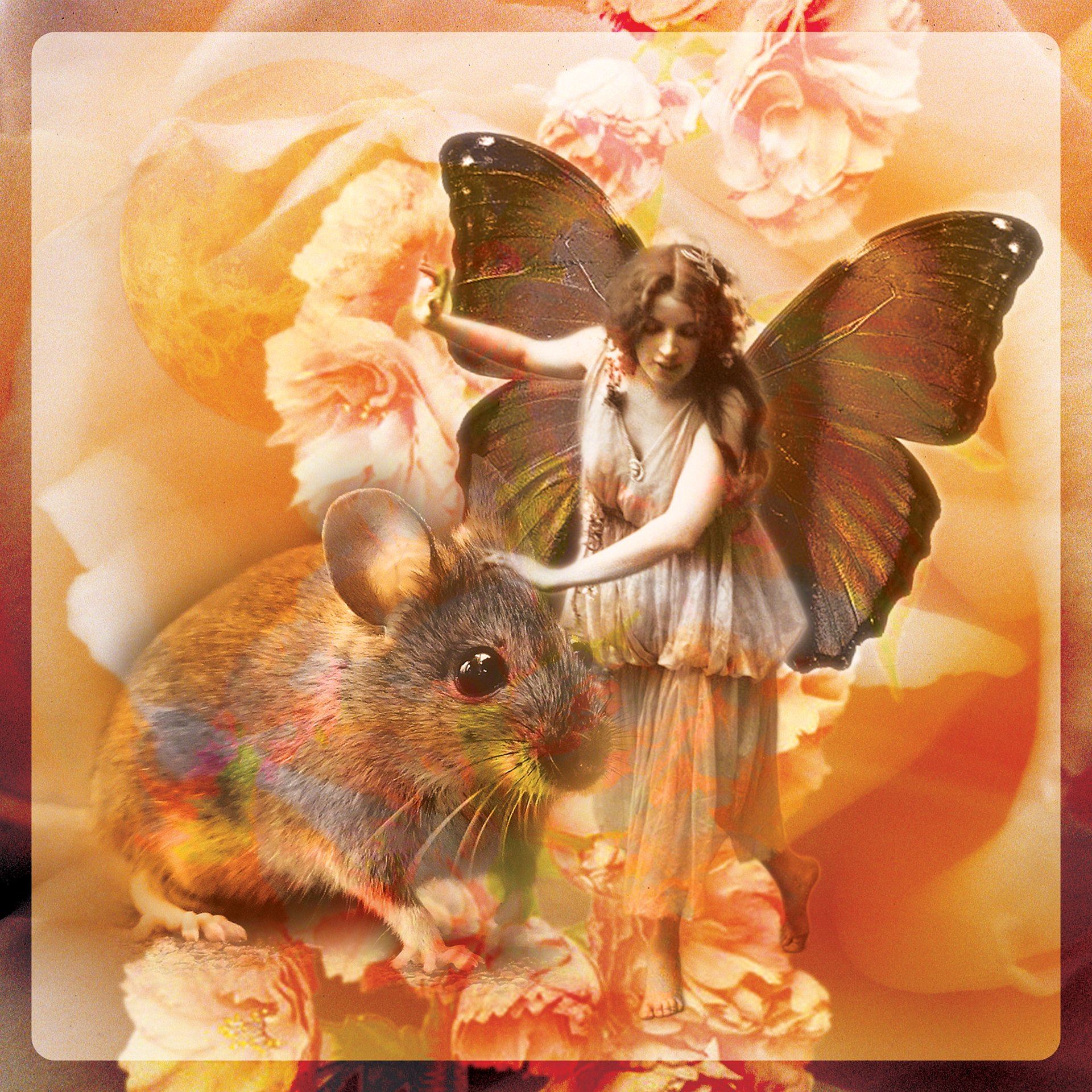 Fairy and Mouse