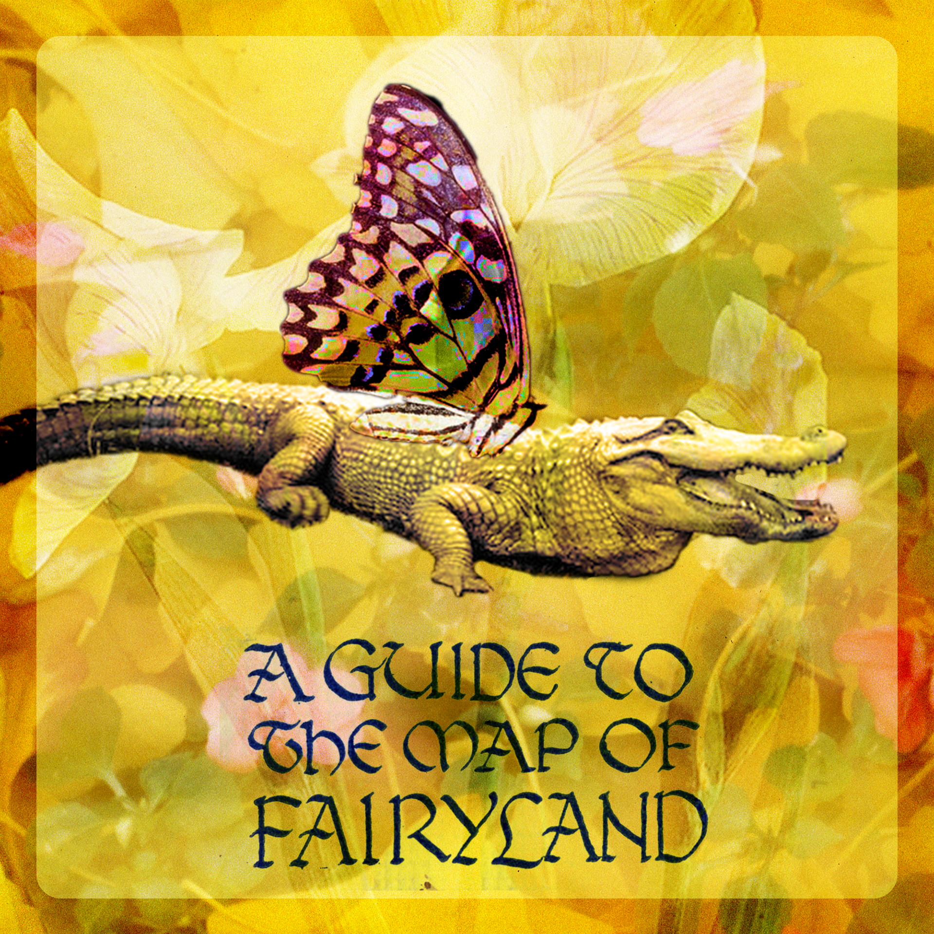 Alligator Fairy