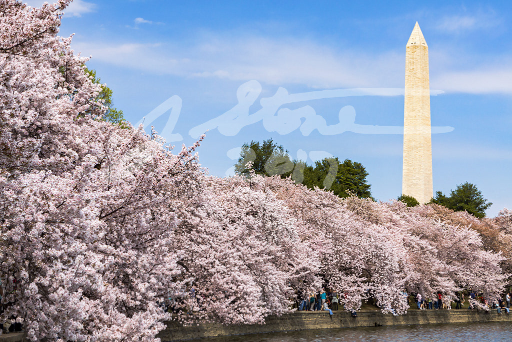 Washington DC