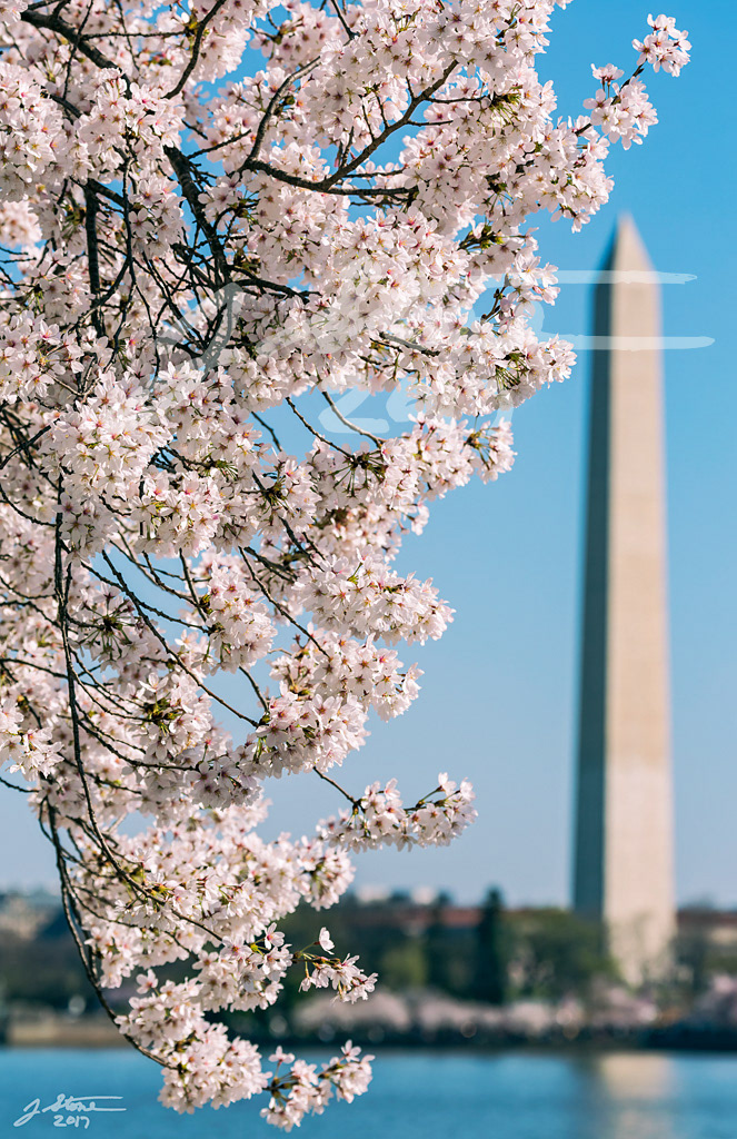Washington DC