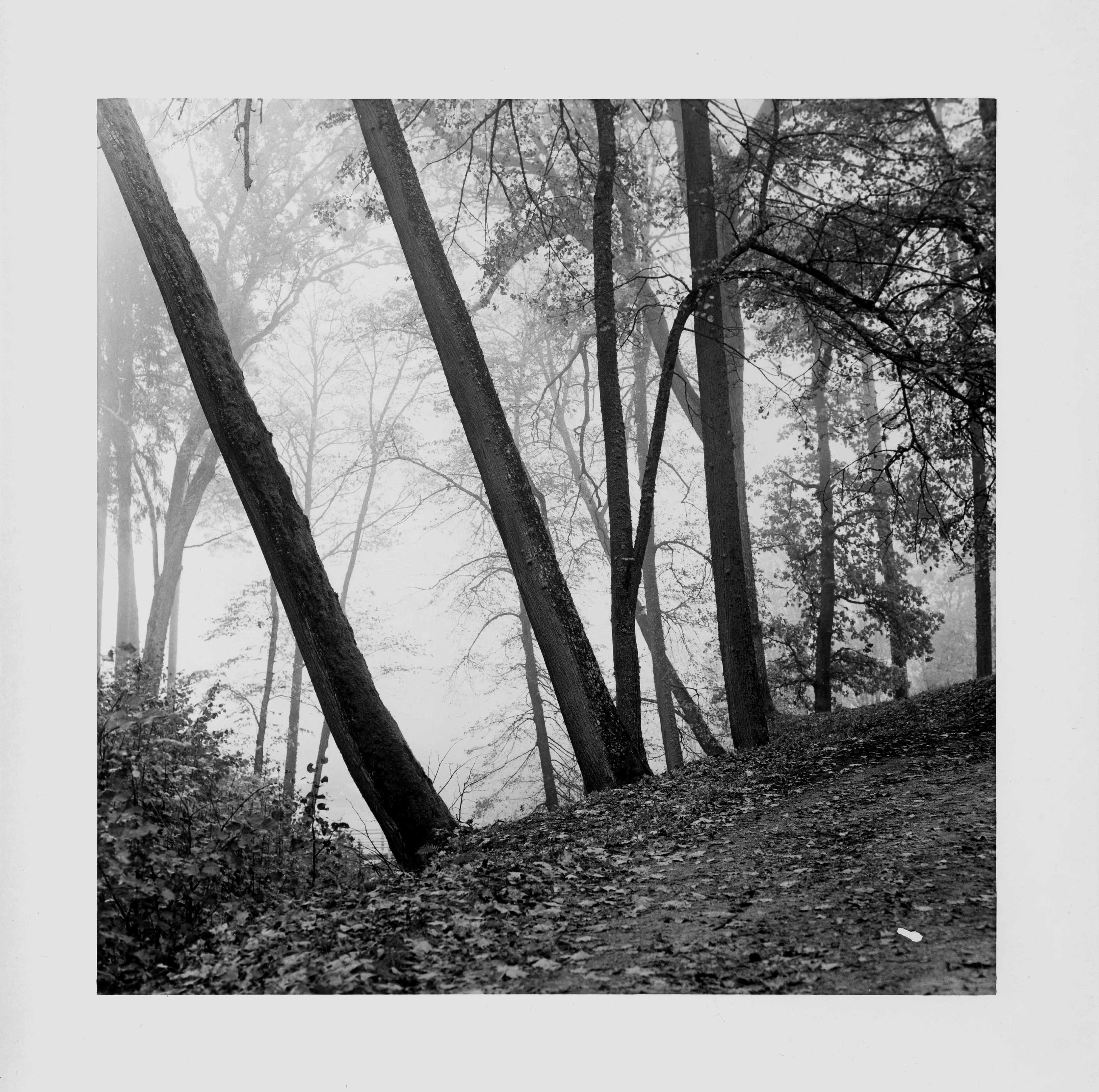 UNIBROM ┃30x30 cm┃