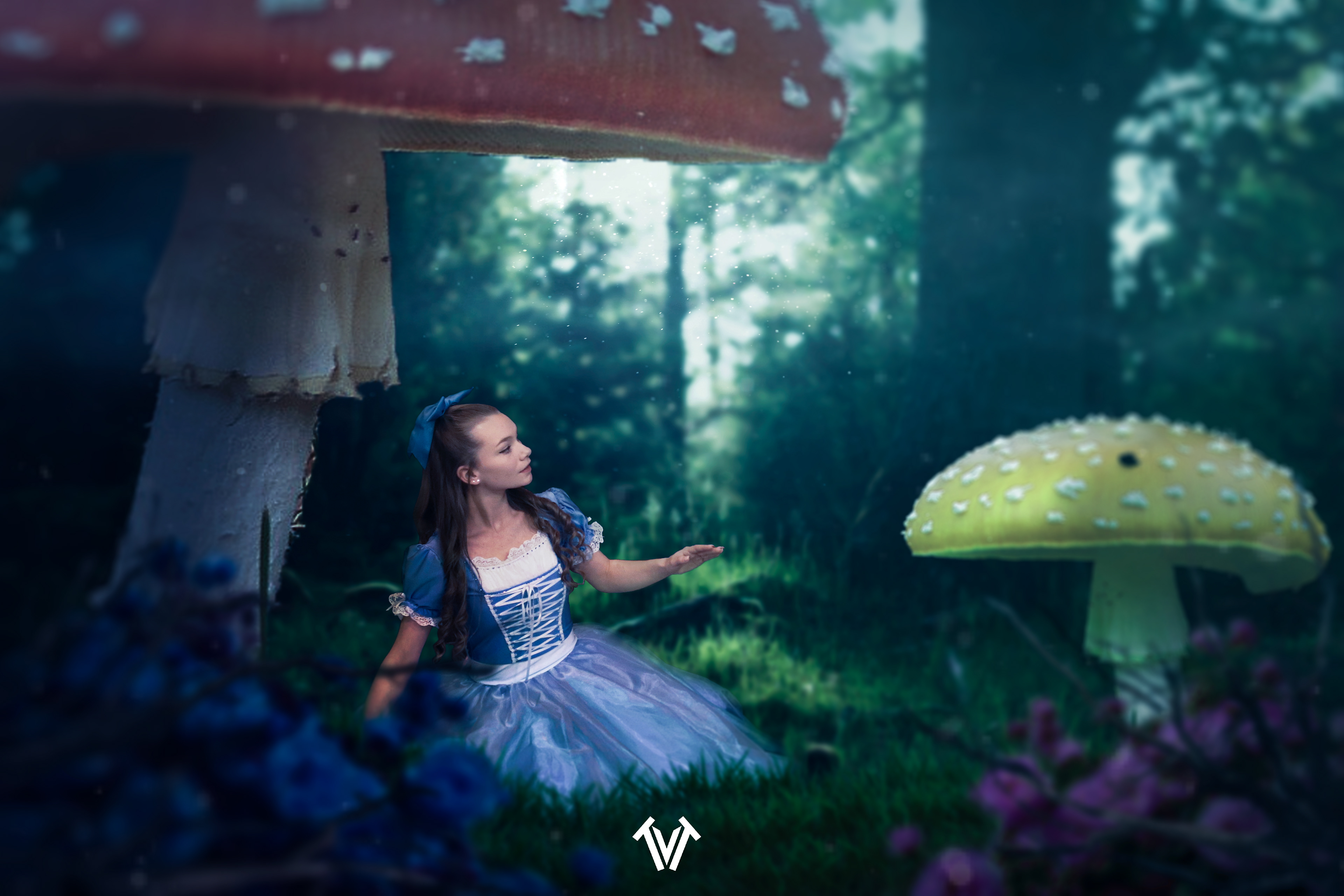 Wonderland (Photoshop Composite)