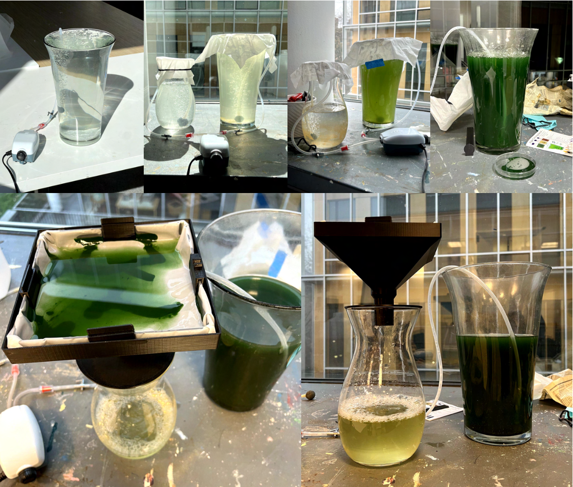 Algae Growth & Harvesting