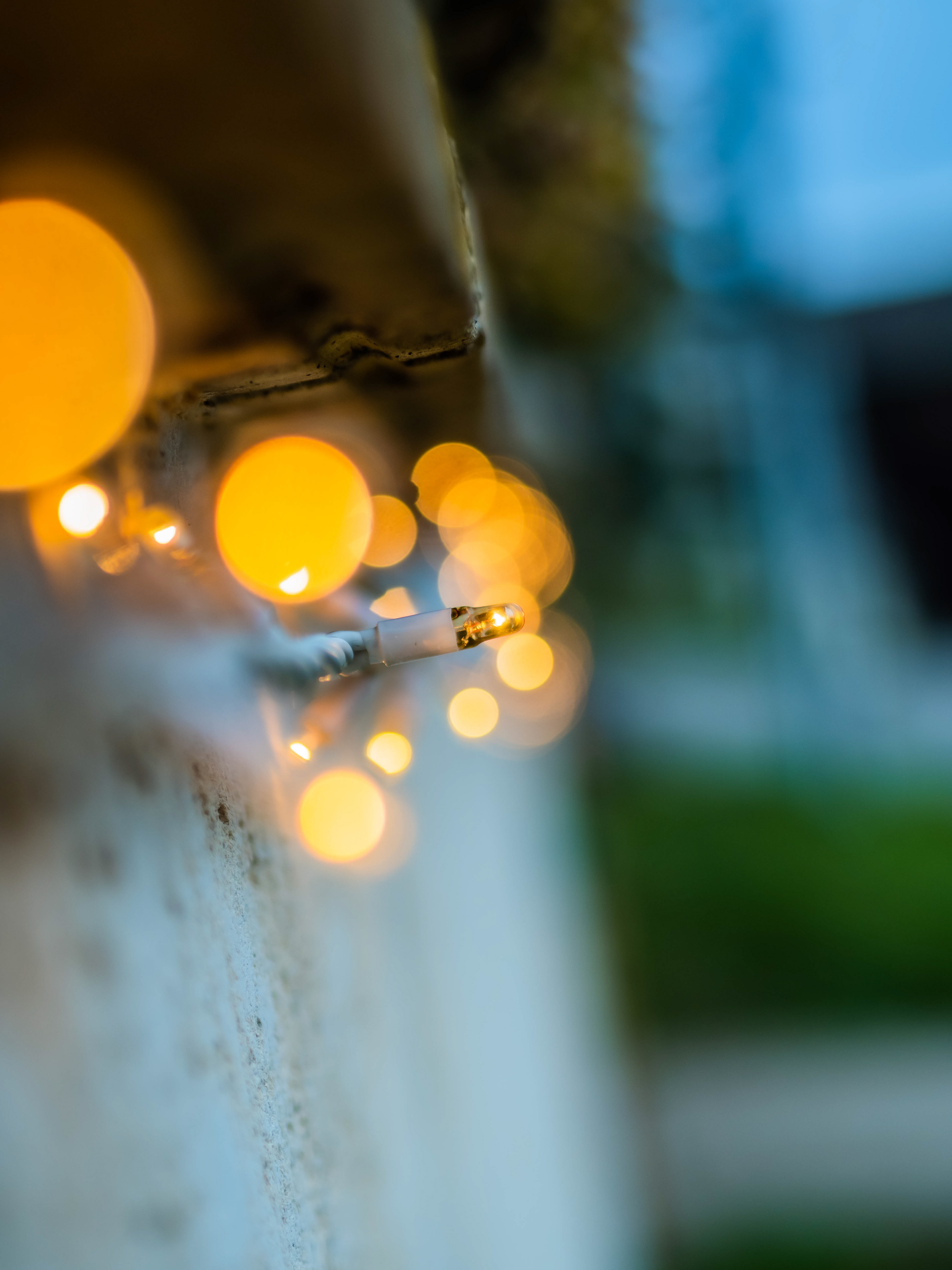 45mm - f/1.8 - 1/400 - ISO 200