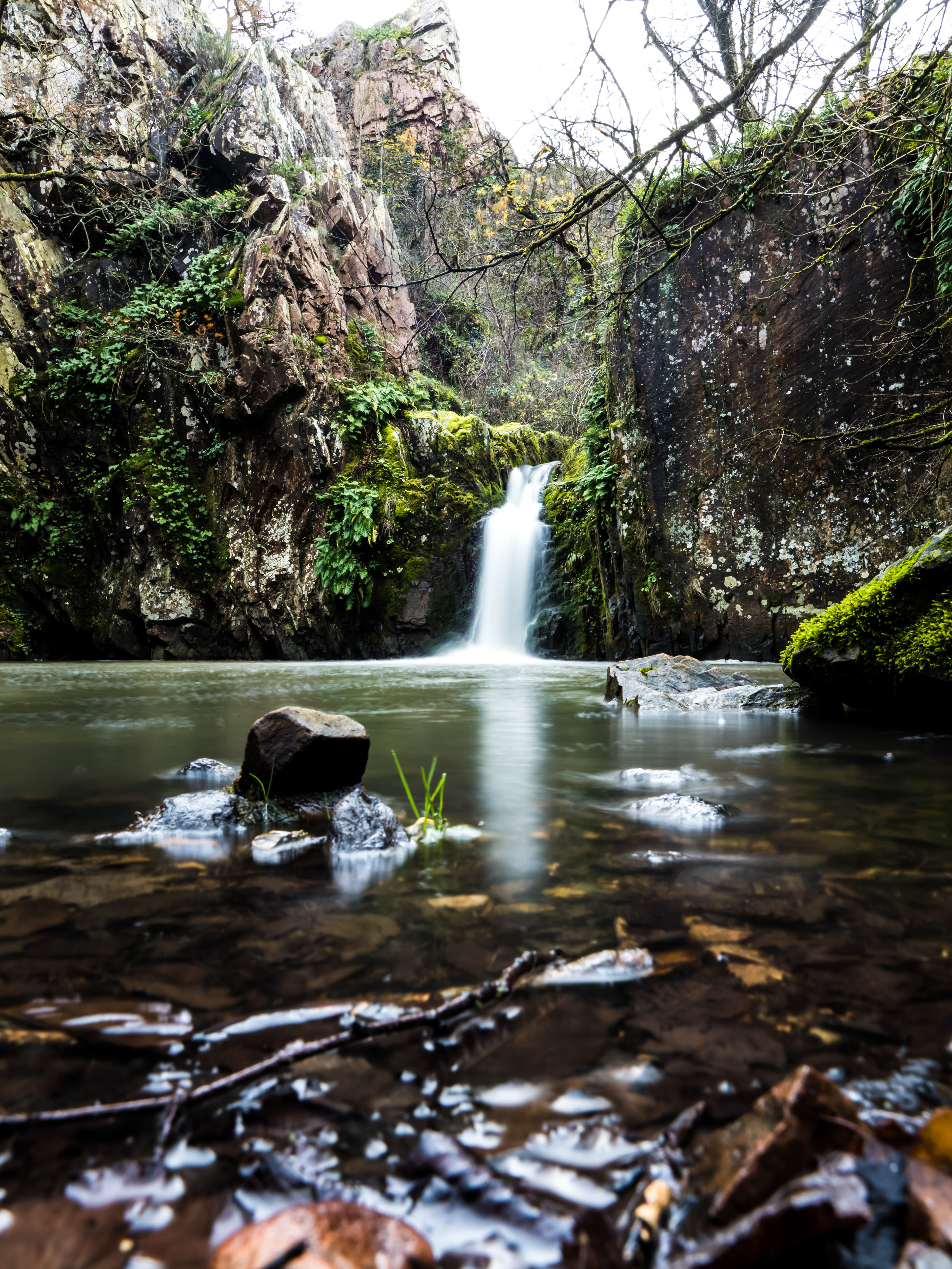 Vallée du Pressoir (79)