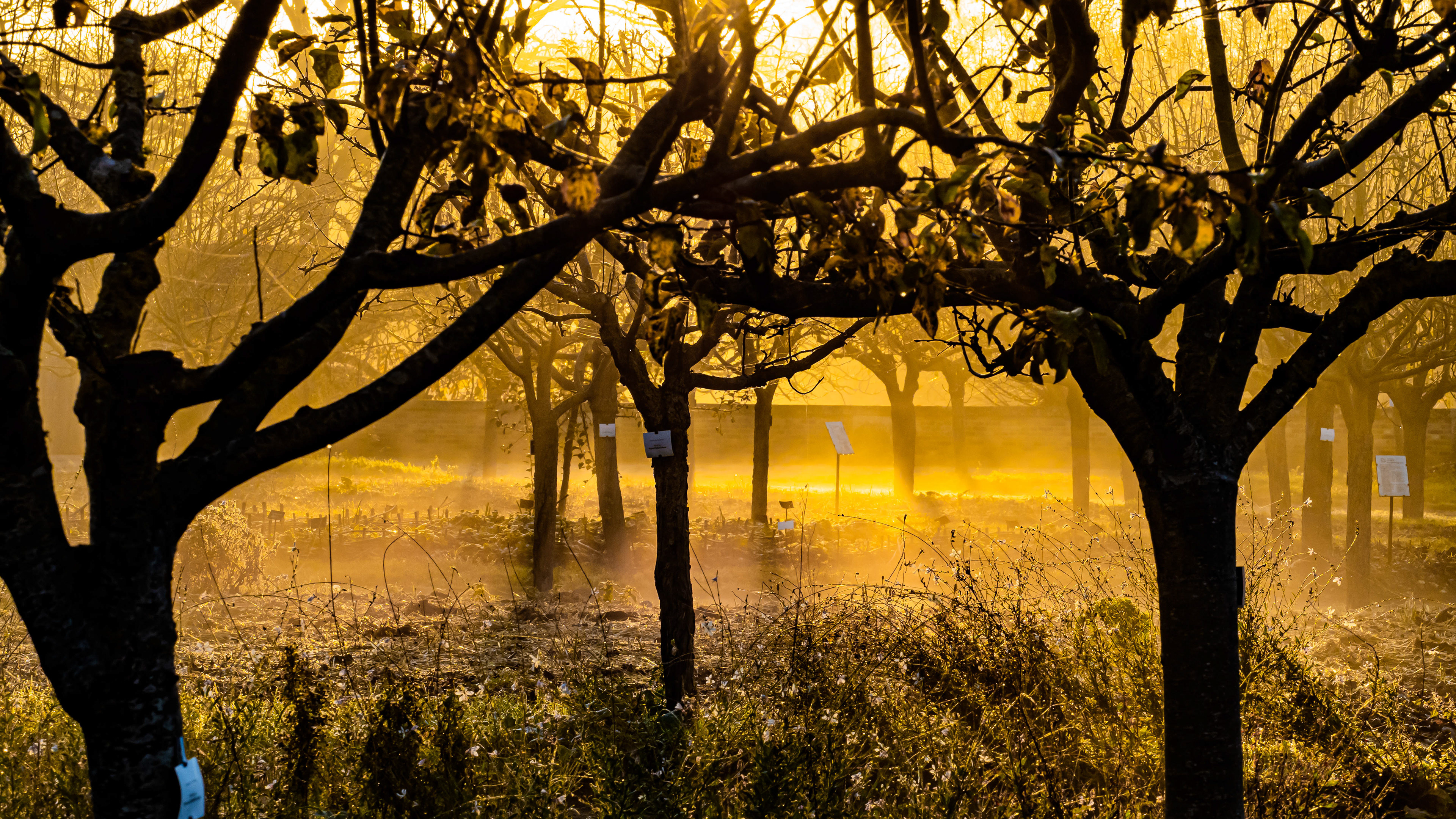 85mm - f/10 - 1/160s - ISO 320
