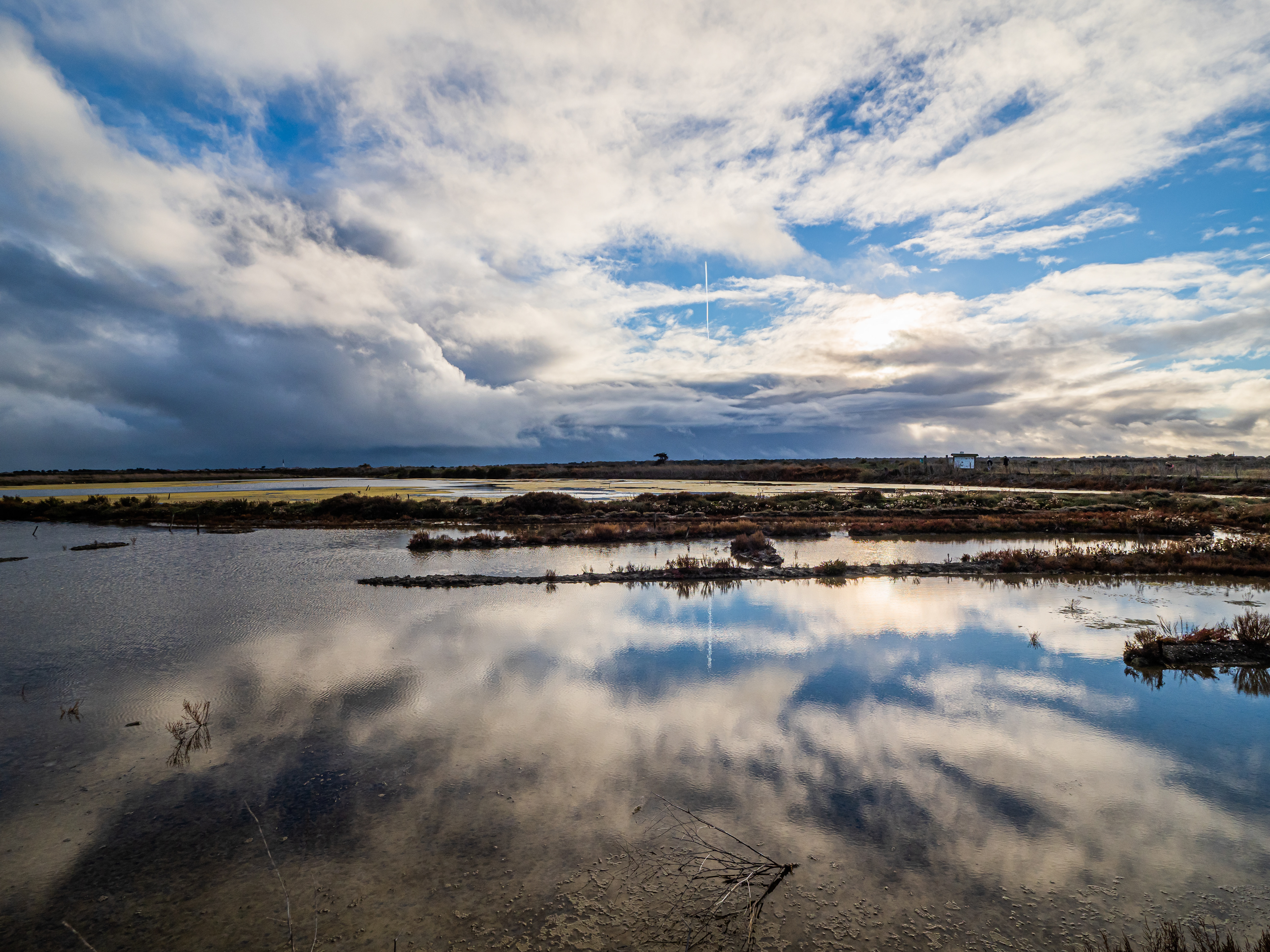 Île de Ré (17)