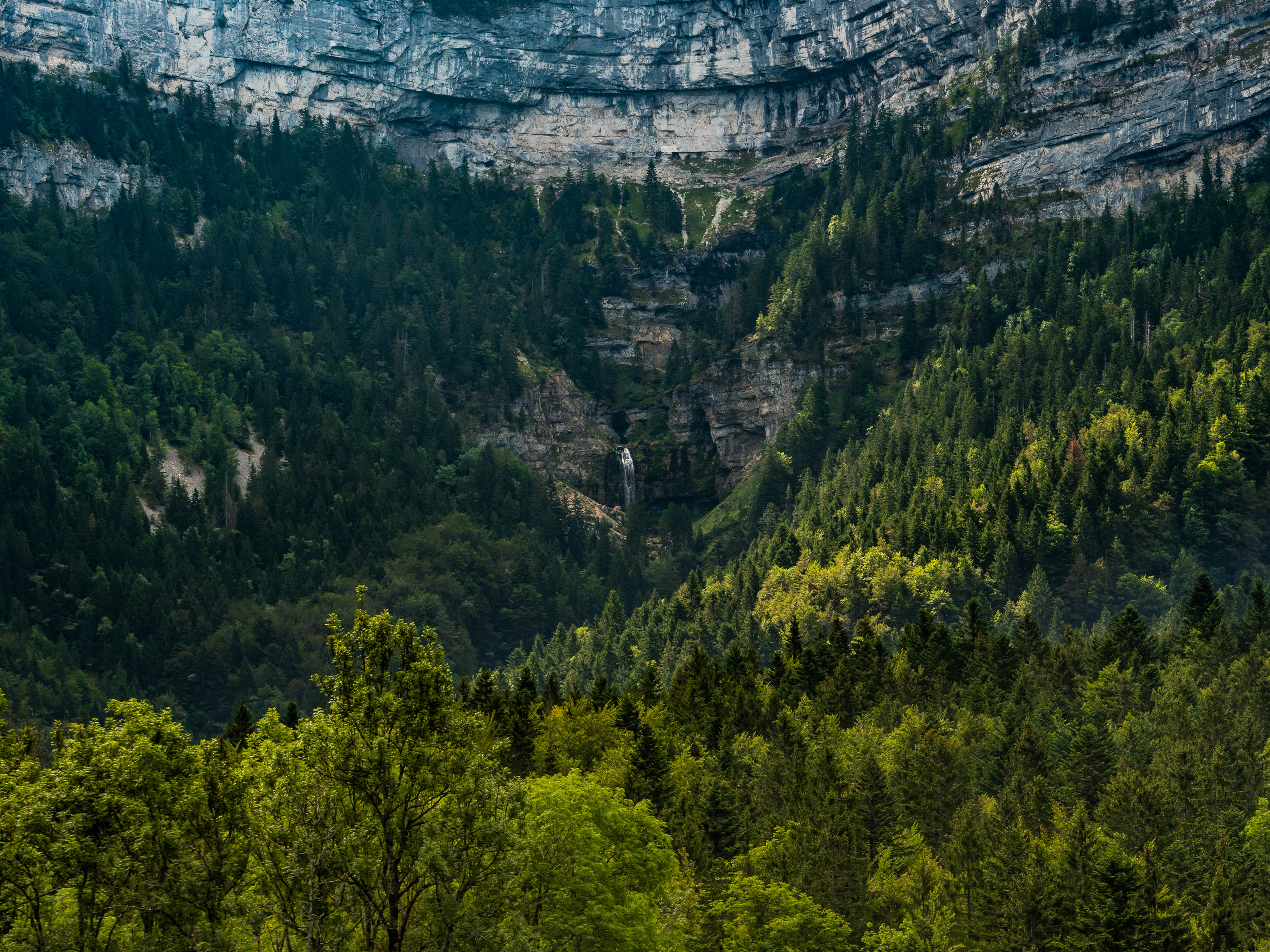 56mm (MC-14) - f/8 - 1/200s - ISO 200