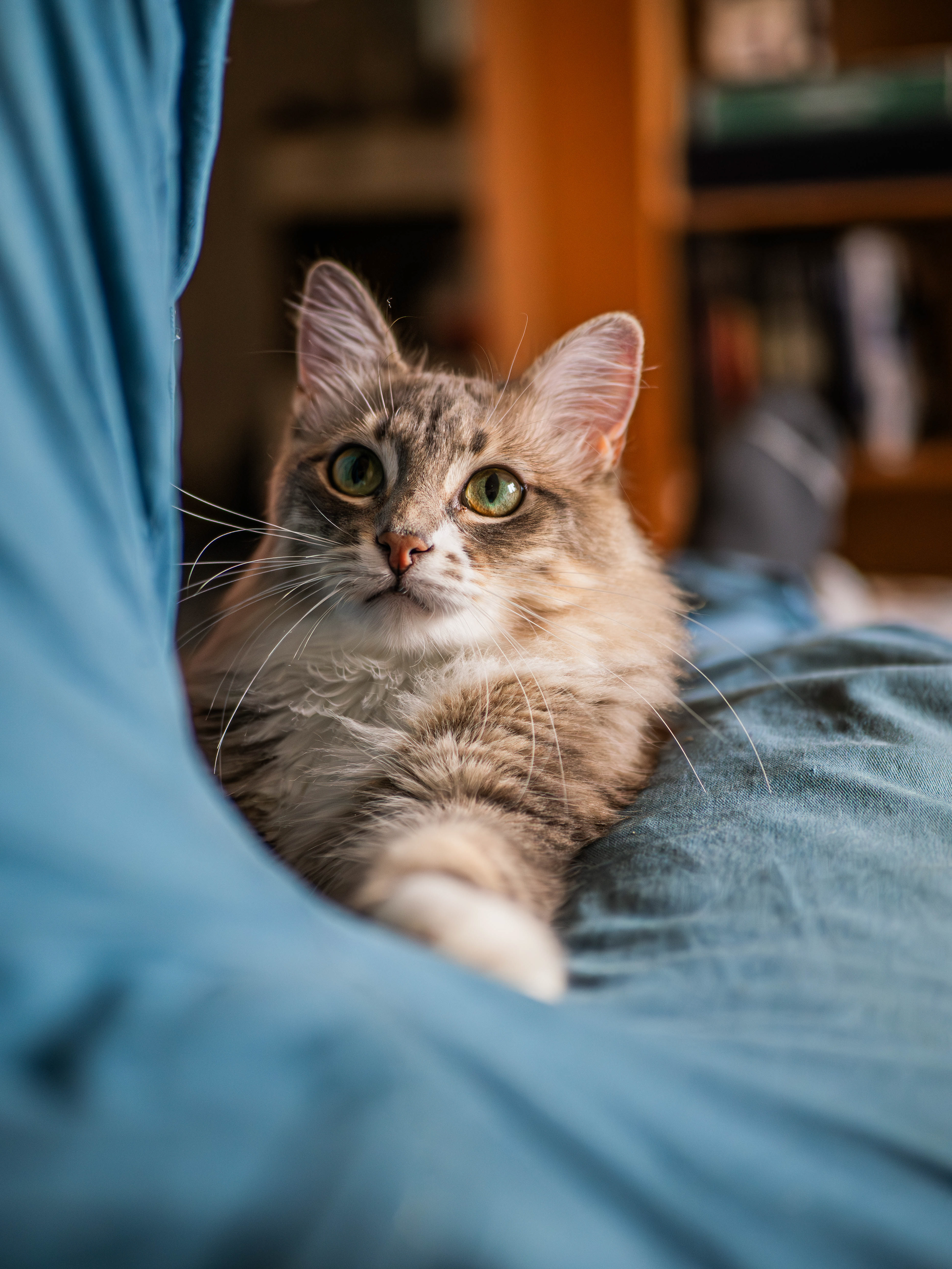 25mm - f/1.2 - 1/500s - ISO 1600
