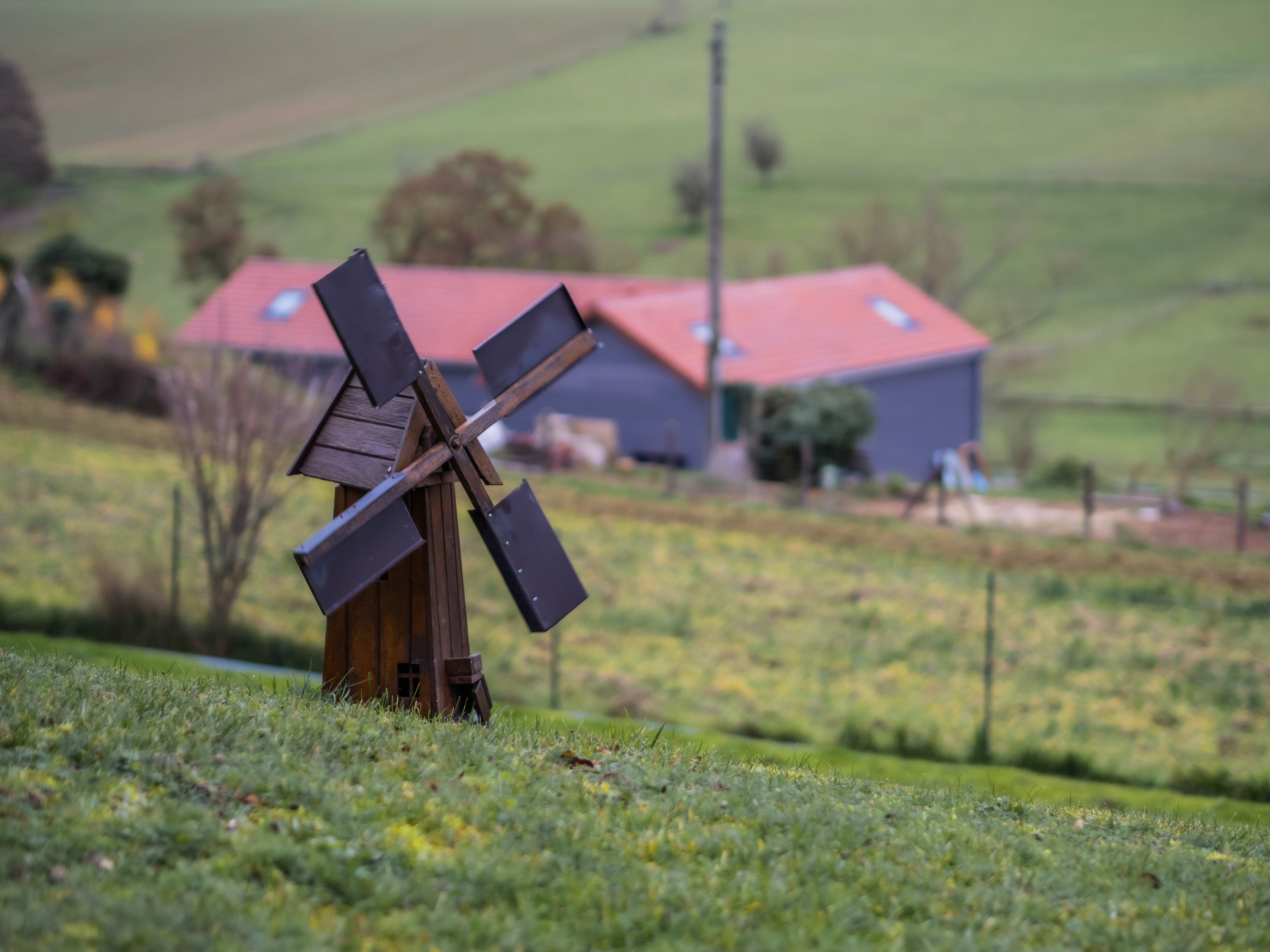 45mm - f/1.8 - 1/200s - ISO 200