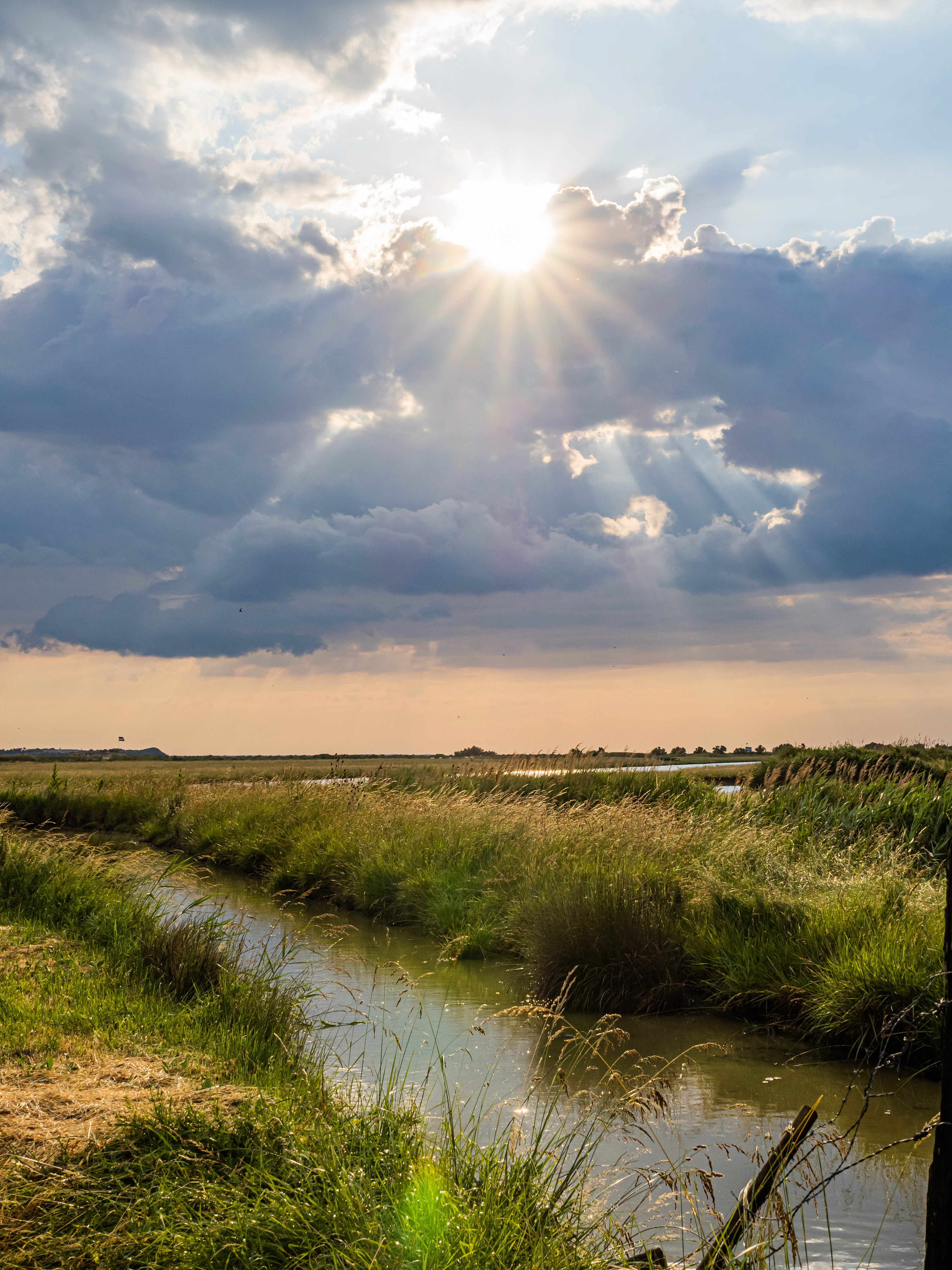 Marais de Fouras (17)