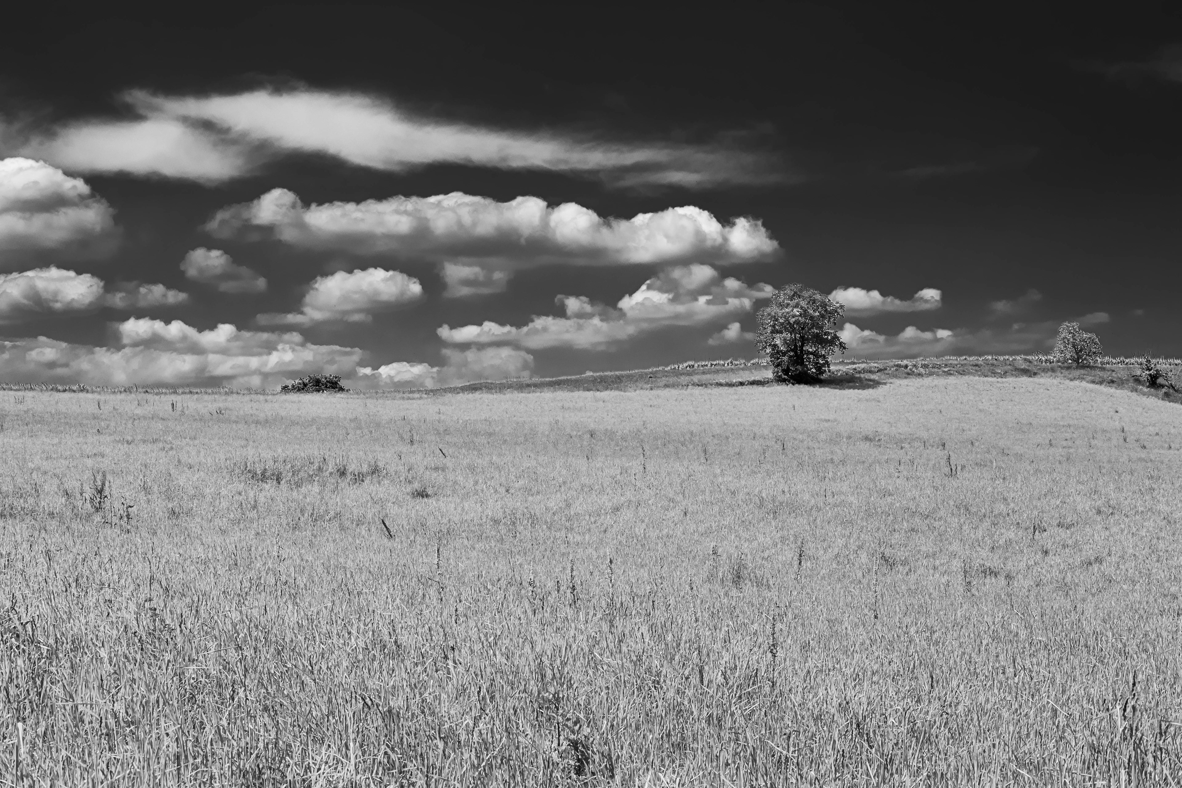35mm - f/11 - 1/340s - ISO 200