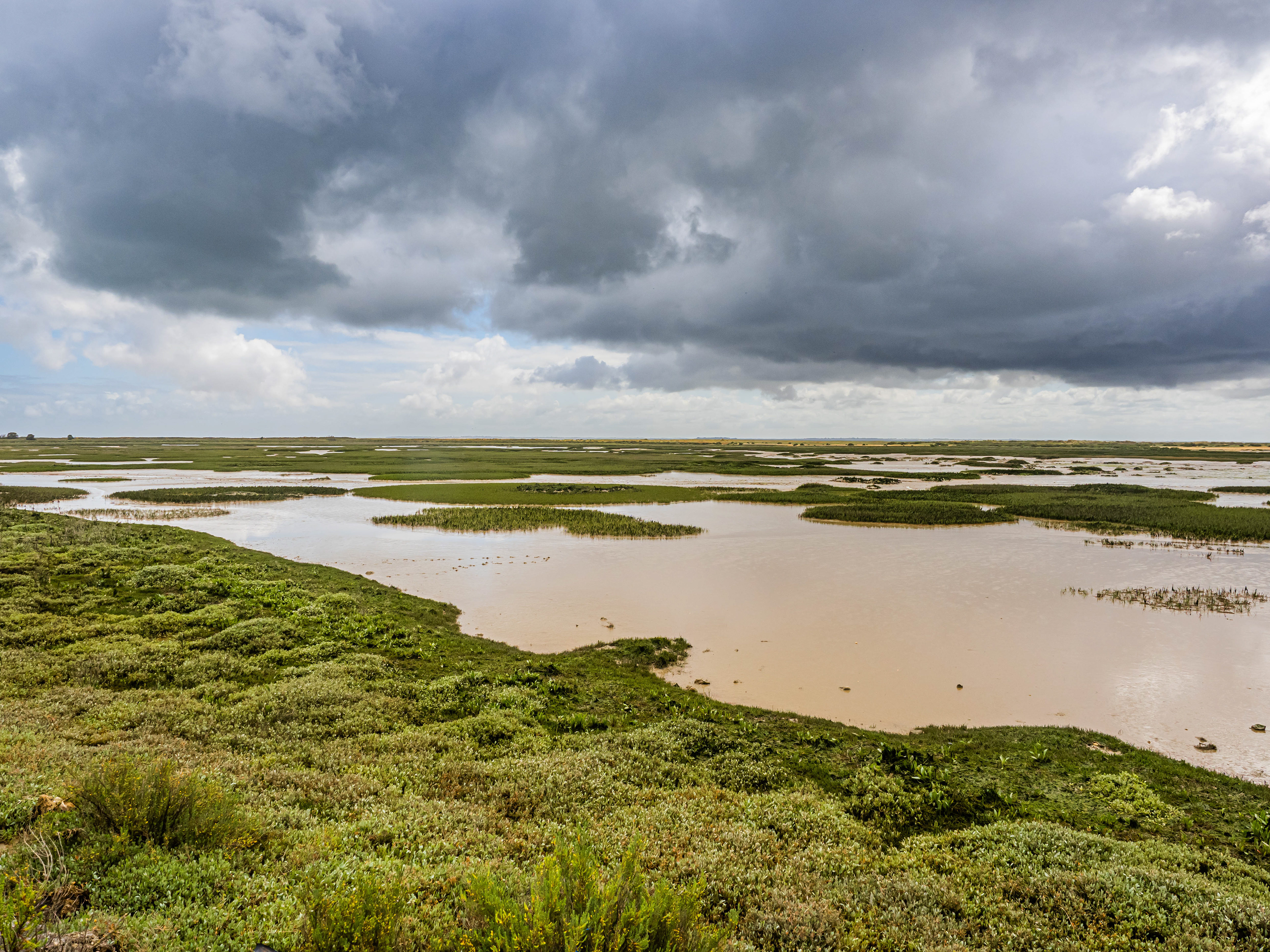 Île d'Oléron (17)