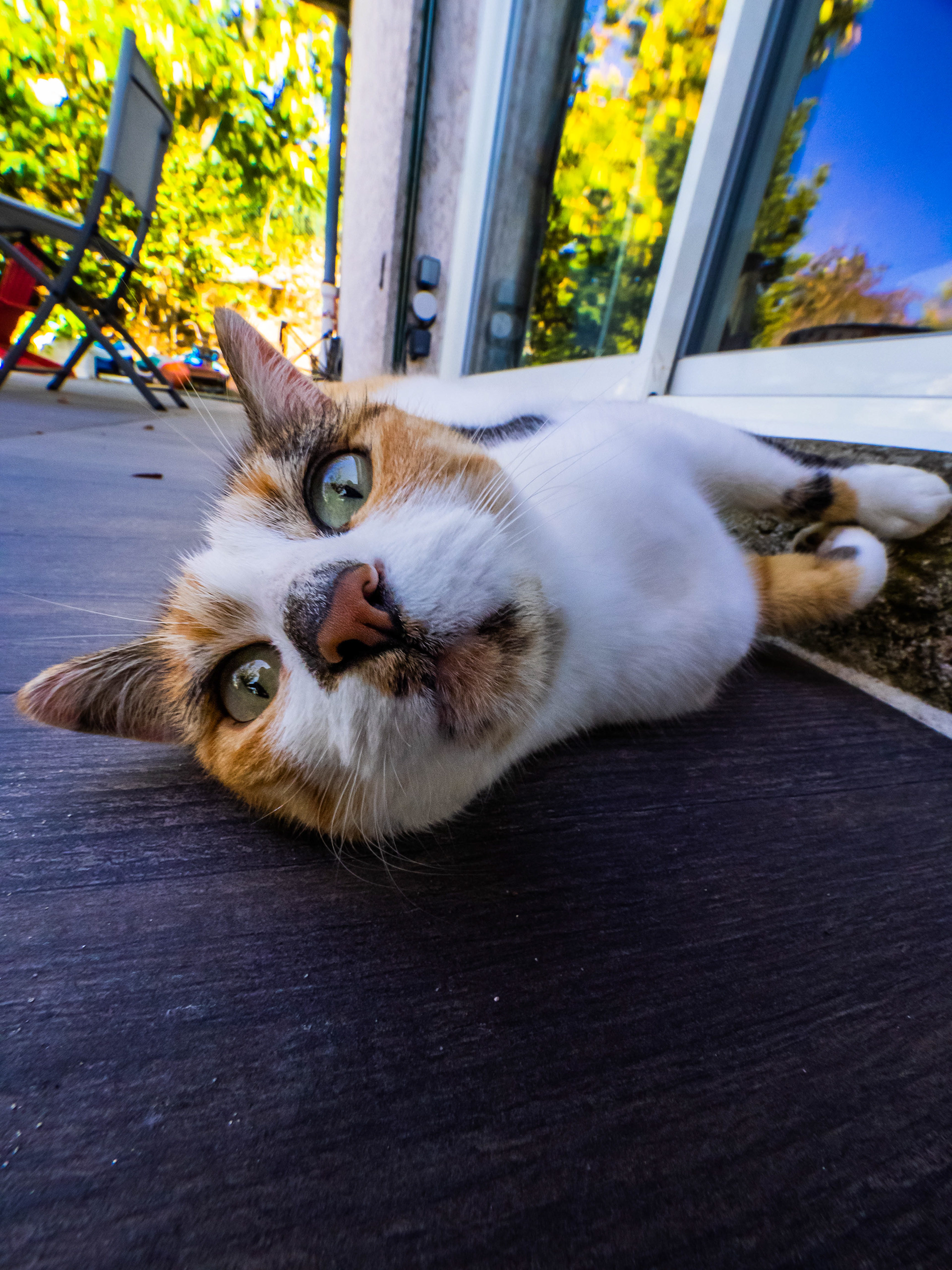 7mm - f/11 - 1/100s - ISO 1600