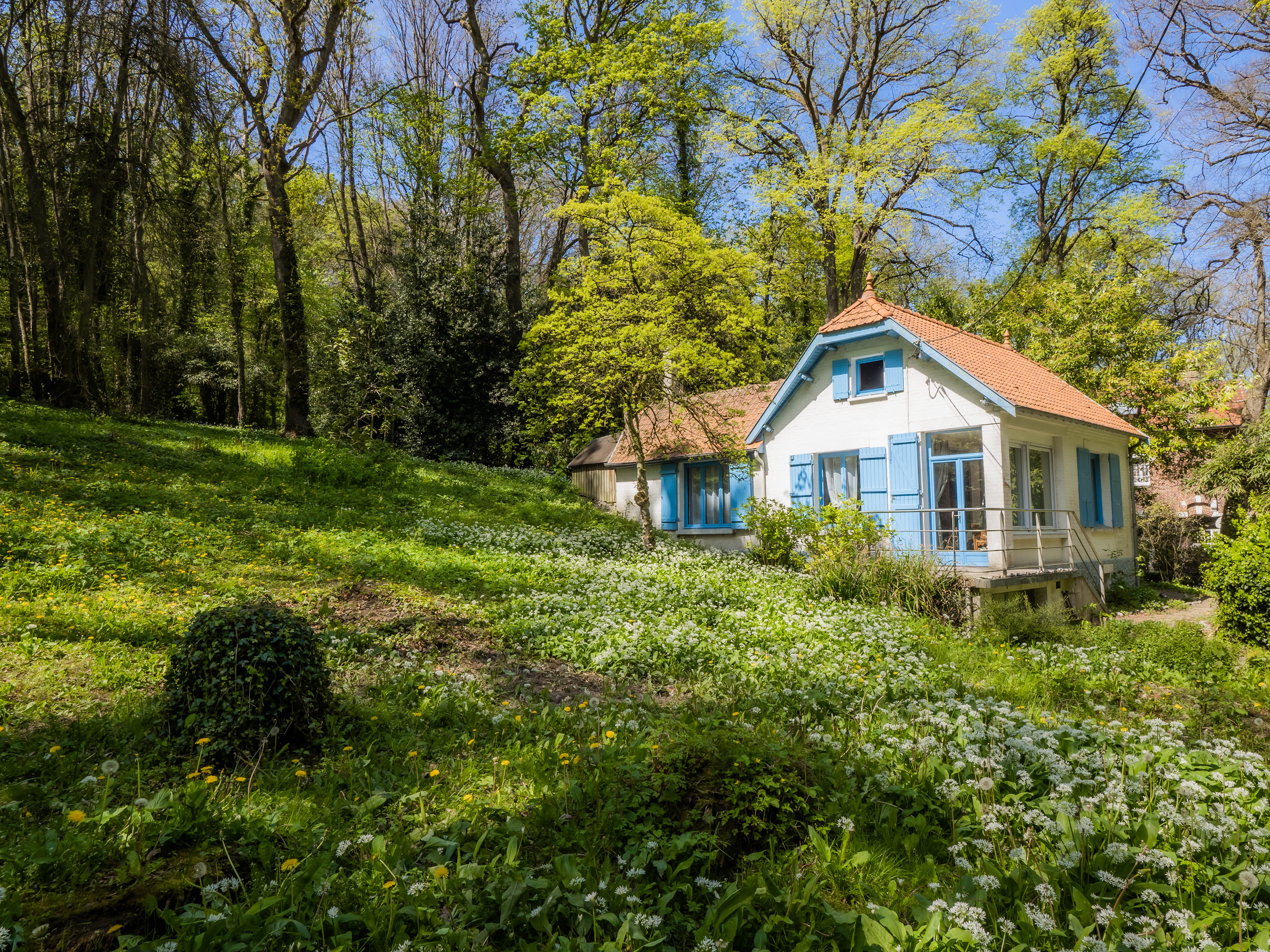 Bois de Cise - Somme