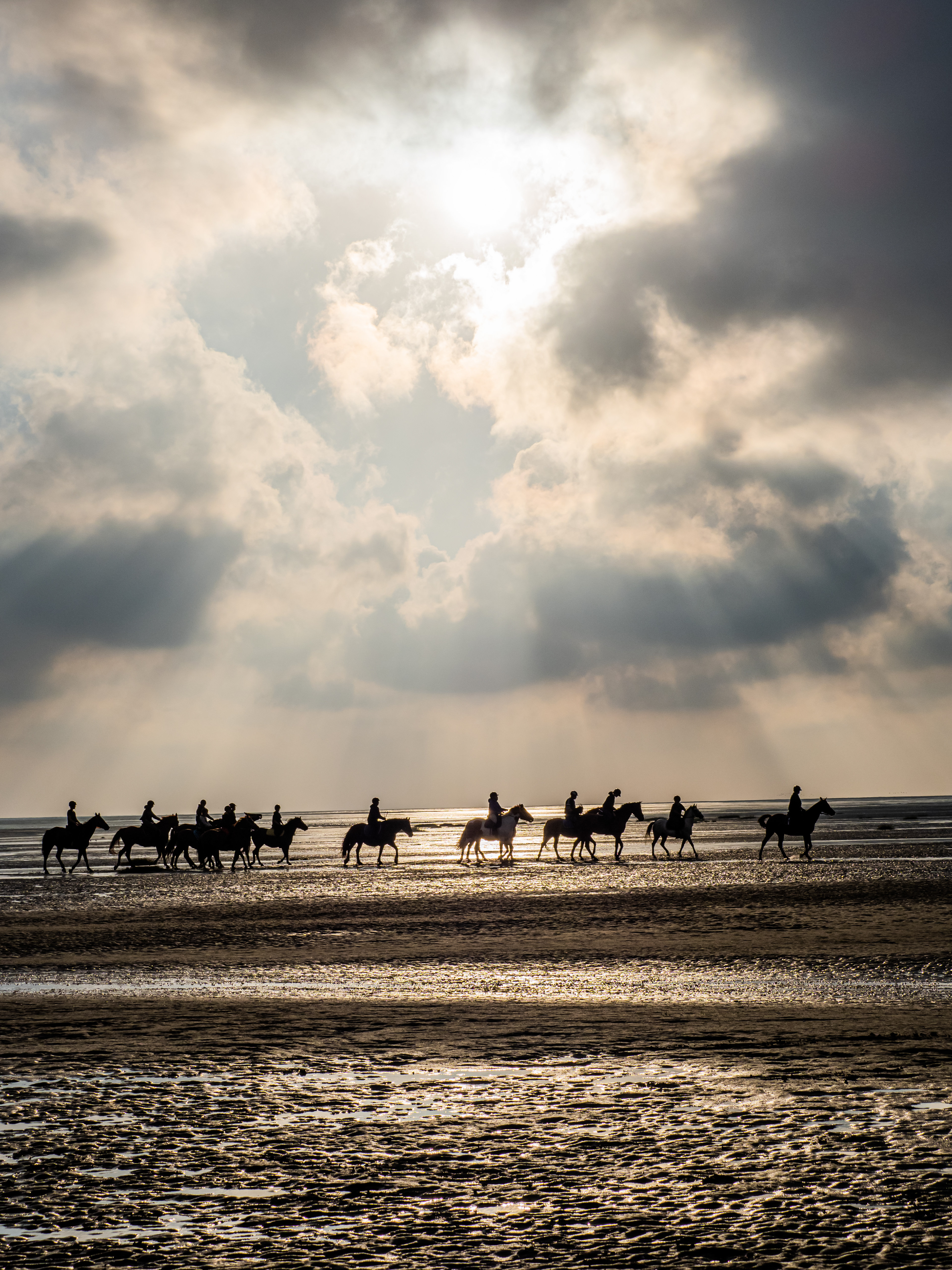 Baie de Somme (80)