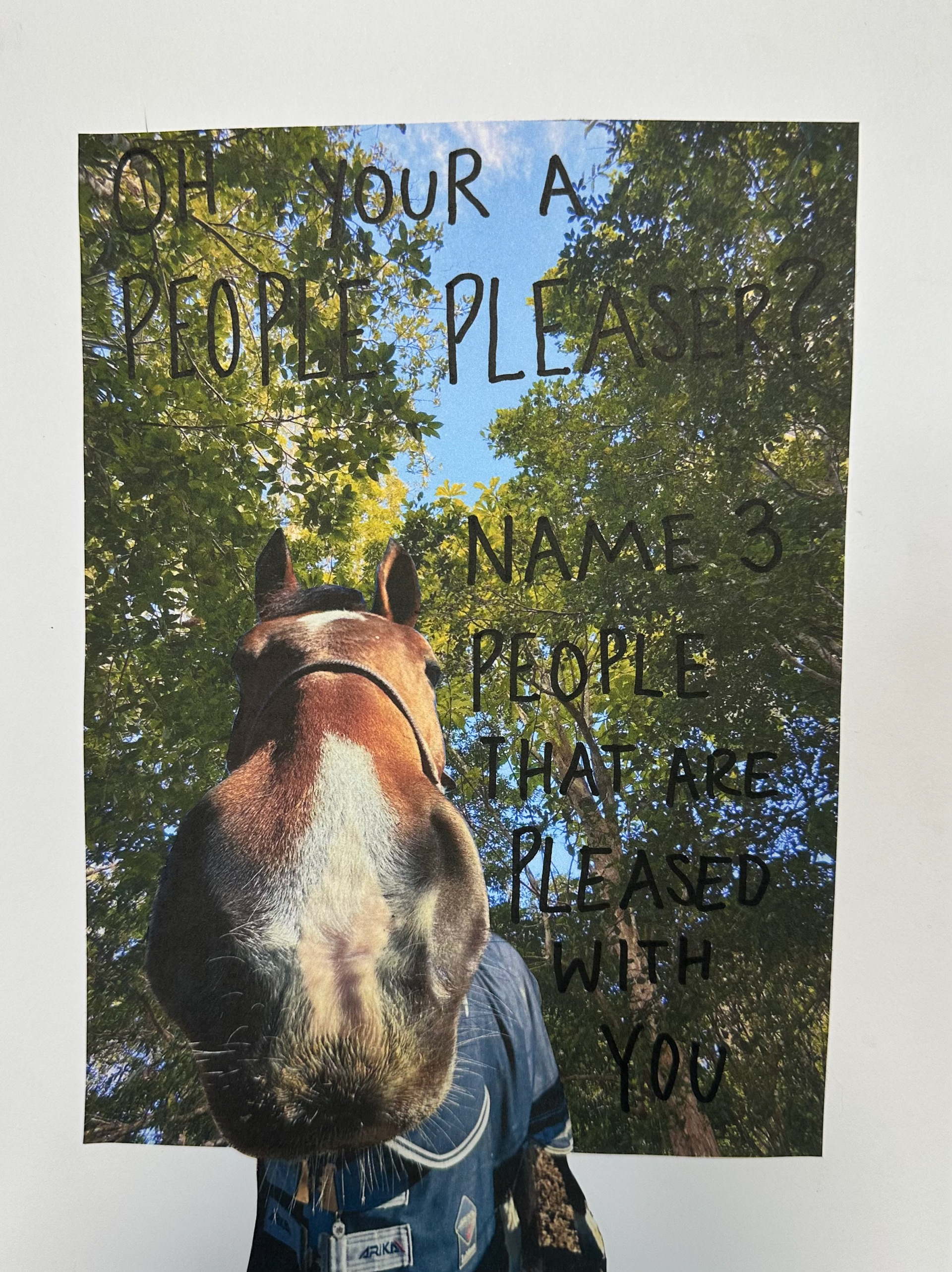 8.5 in x 11 in, "4/5 Series", Printed Collage and Sharpie