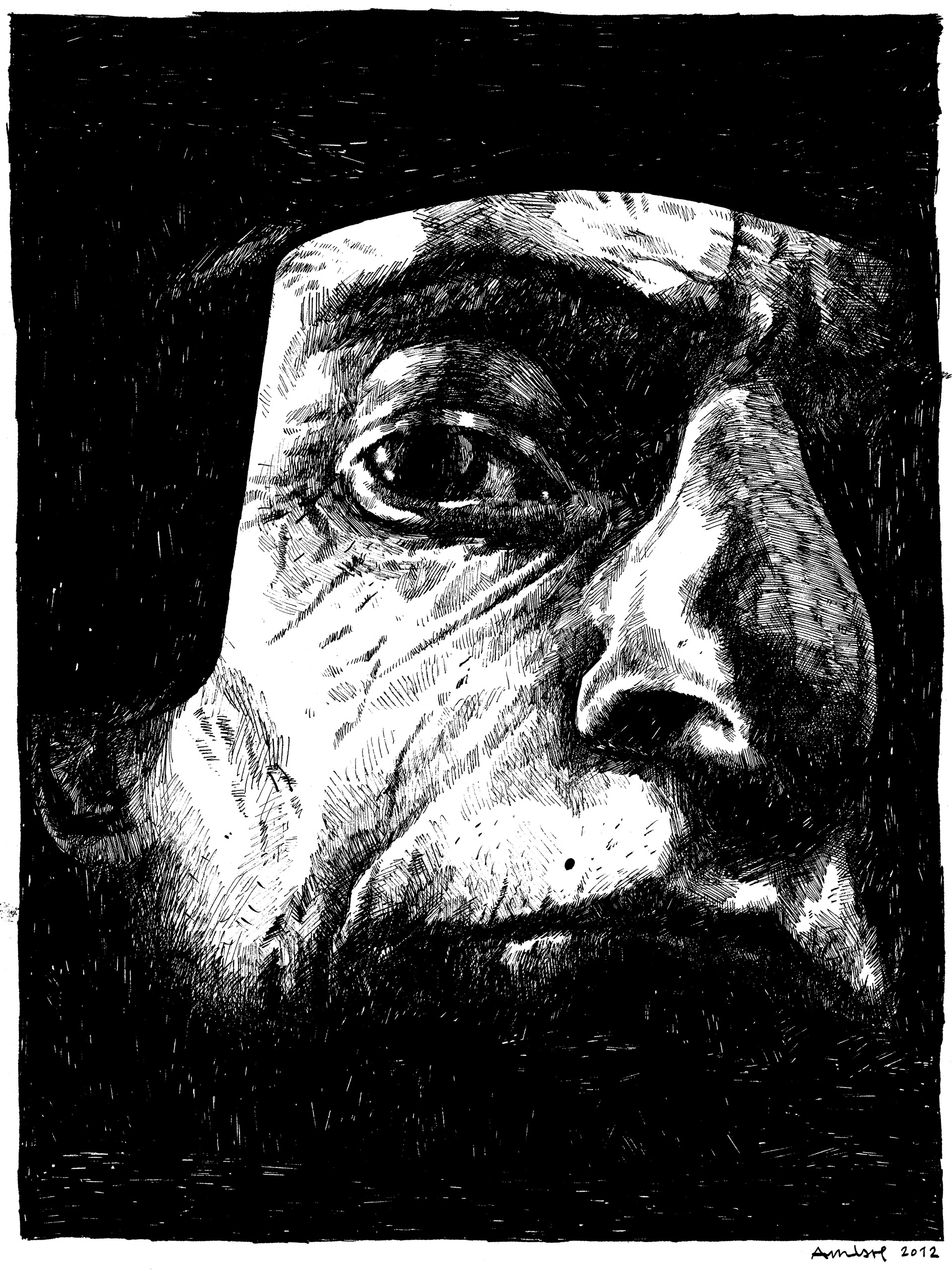 Illustration pour la couverture du tome II - 2012
