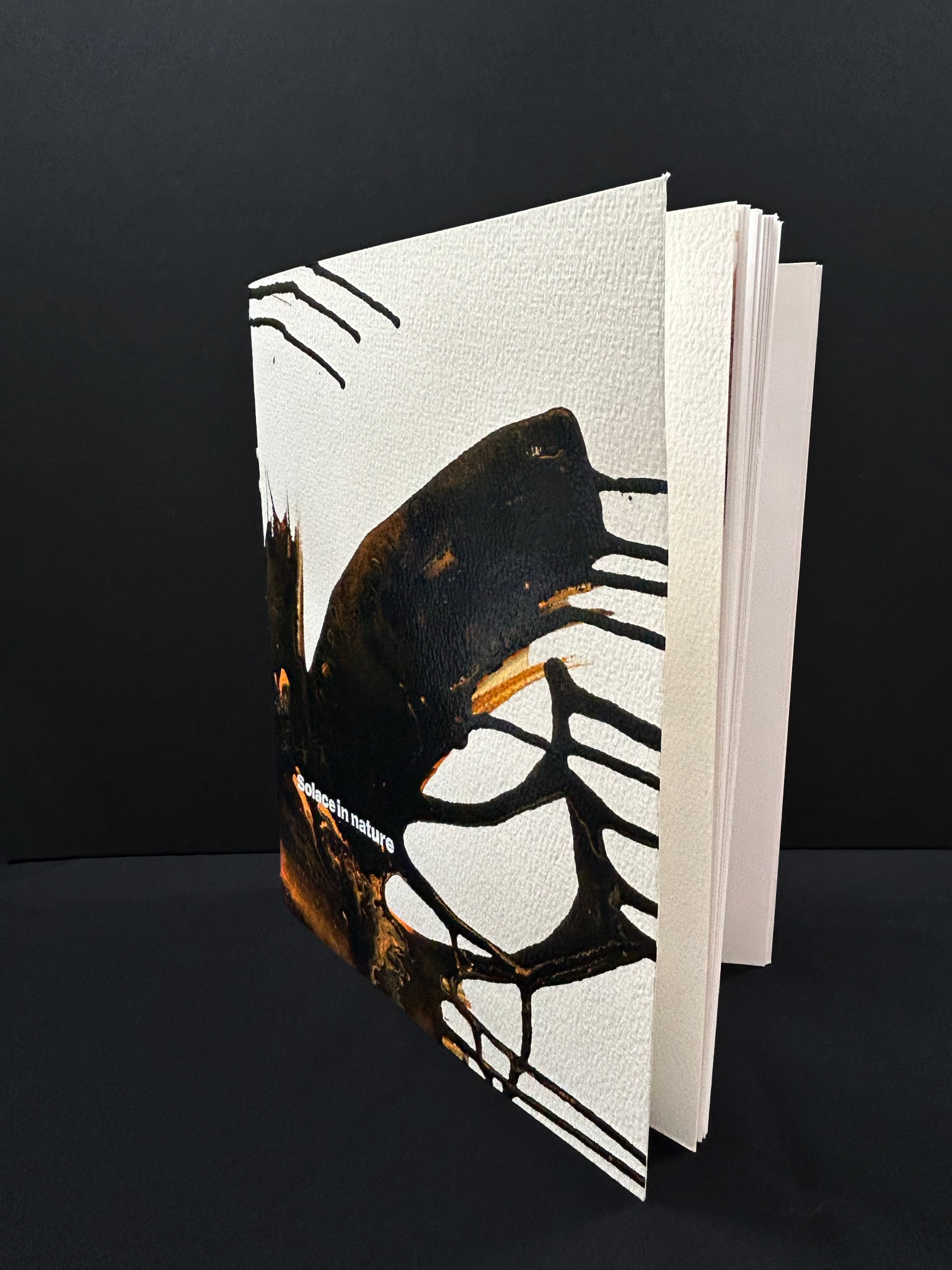 Sketchbook for the project - cover