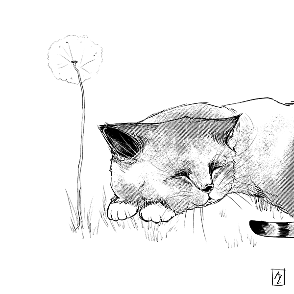 Sleep