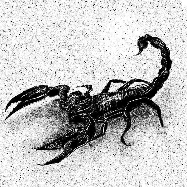 Crawl