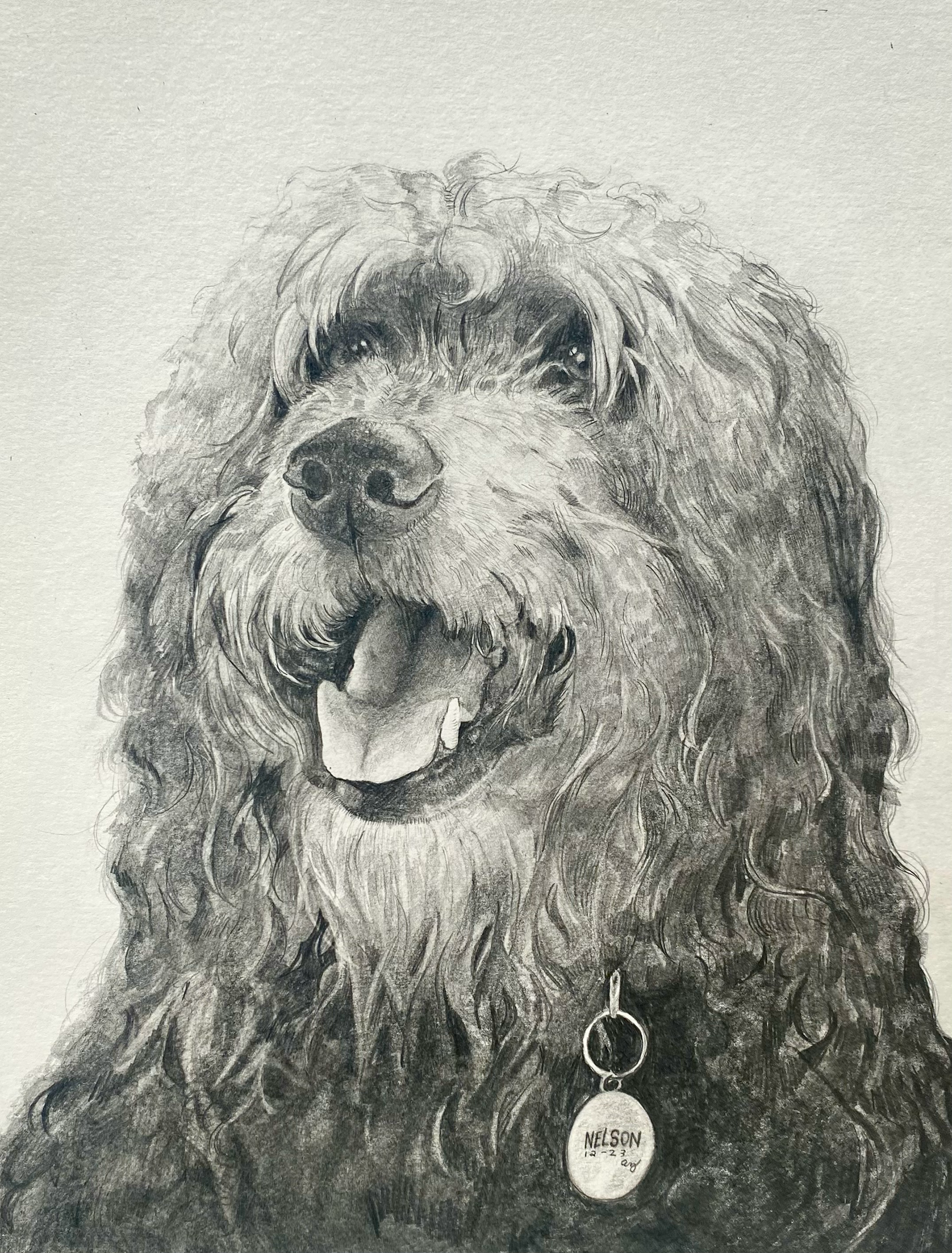"Nelson" Dec 2023, 9"x12" graphite