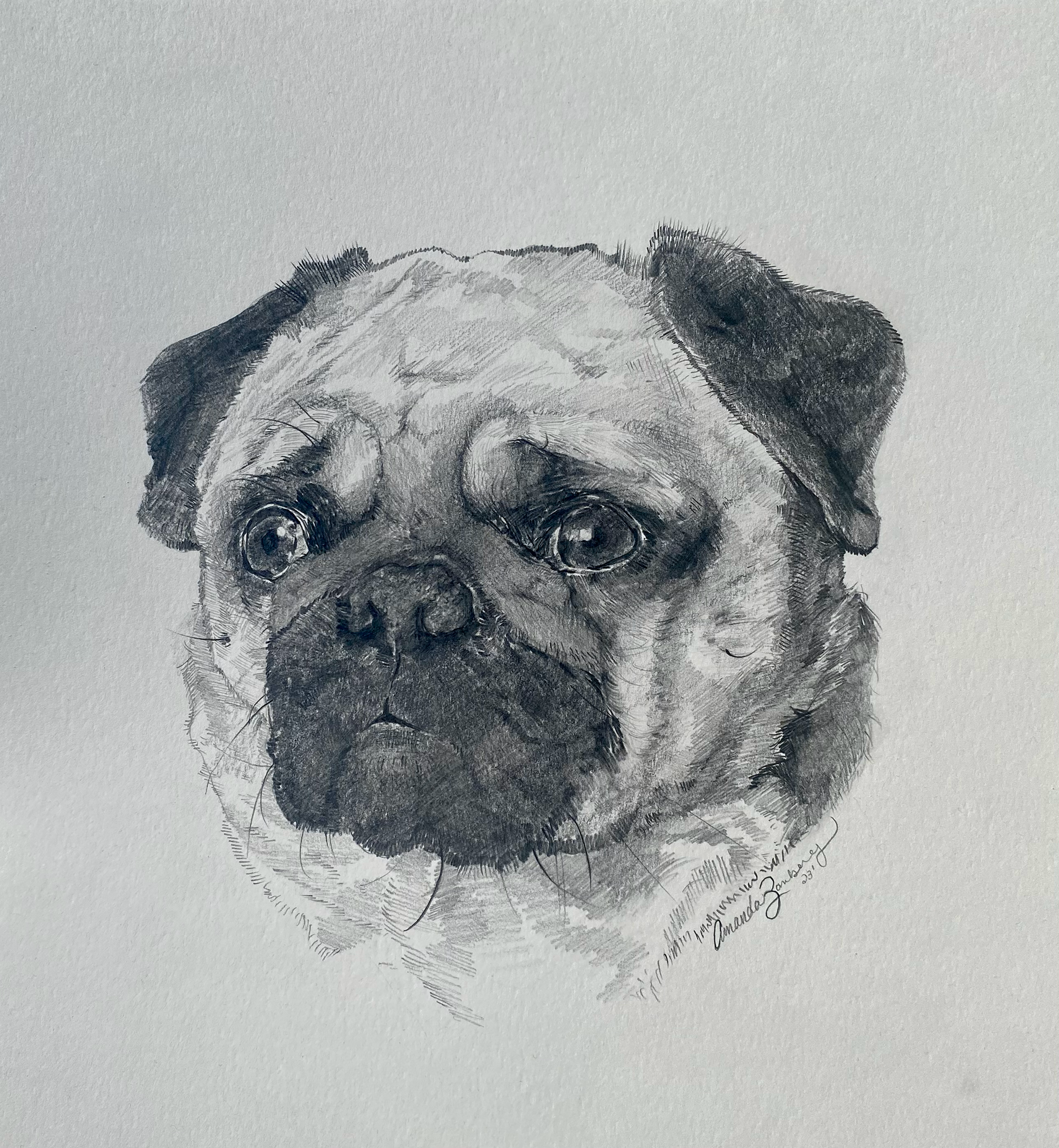 "Reggie" Dec 2023, 8"x 8" graphite