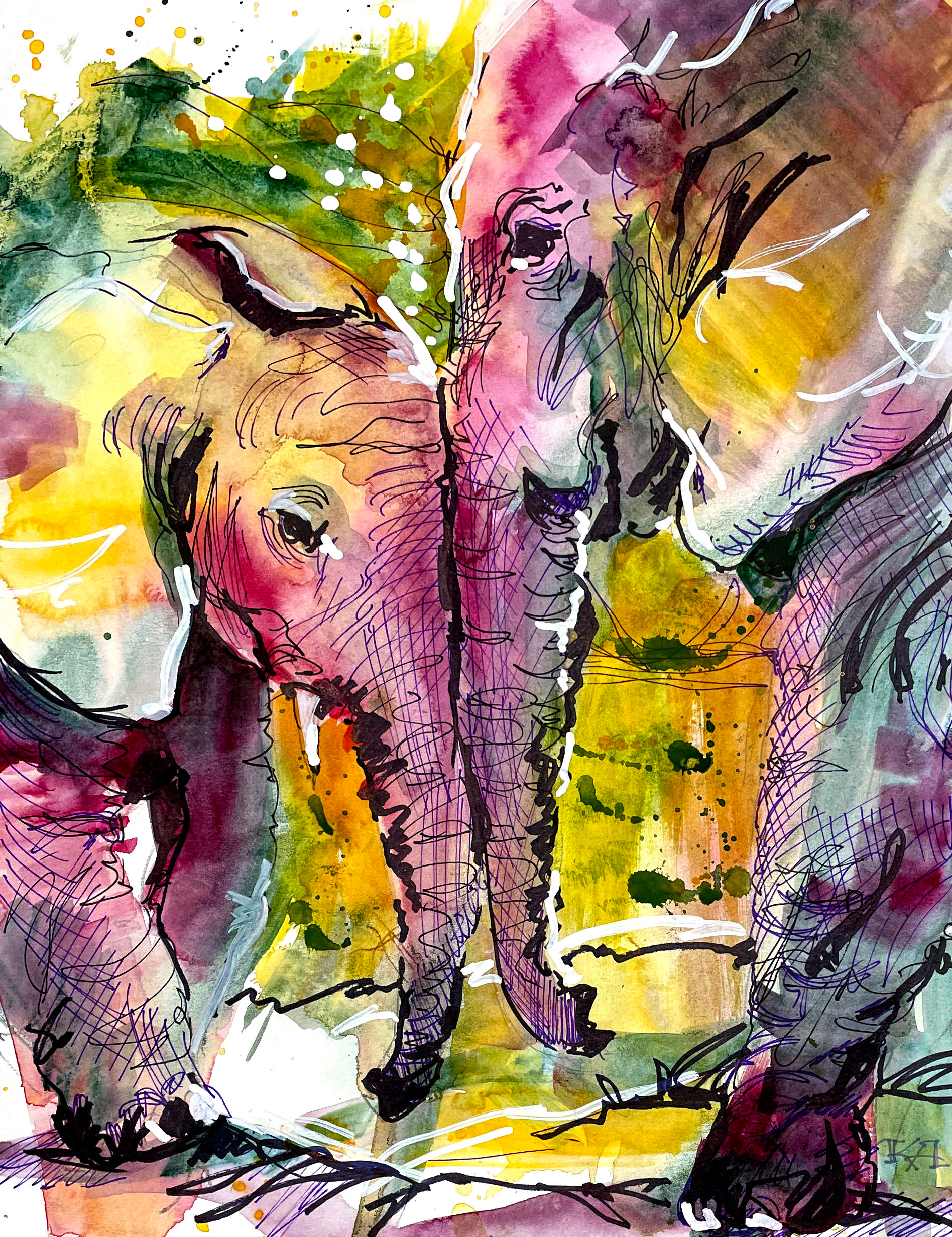 Elephant family