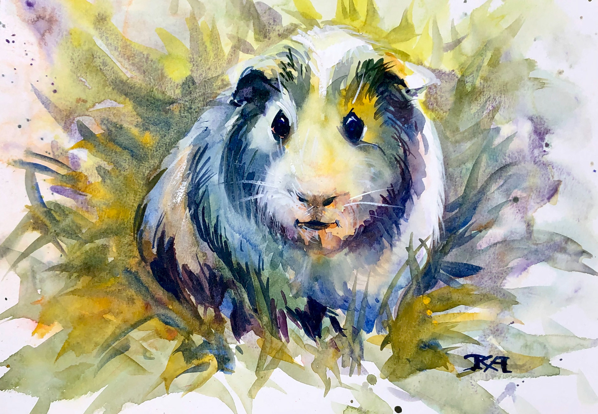 10 - 11x15