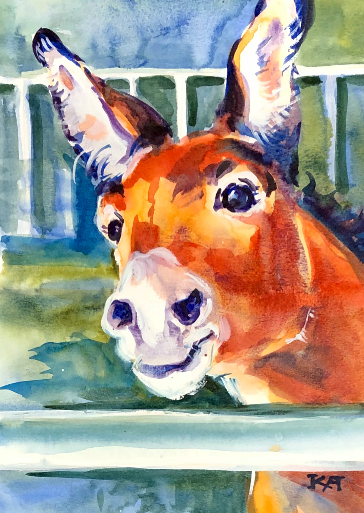 4 - 11x15