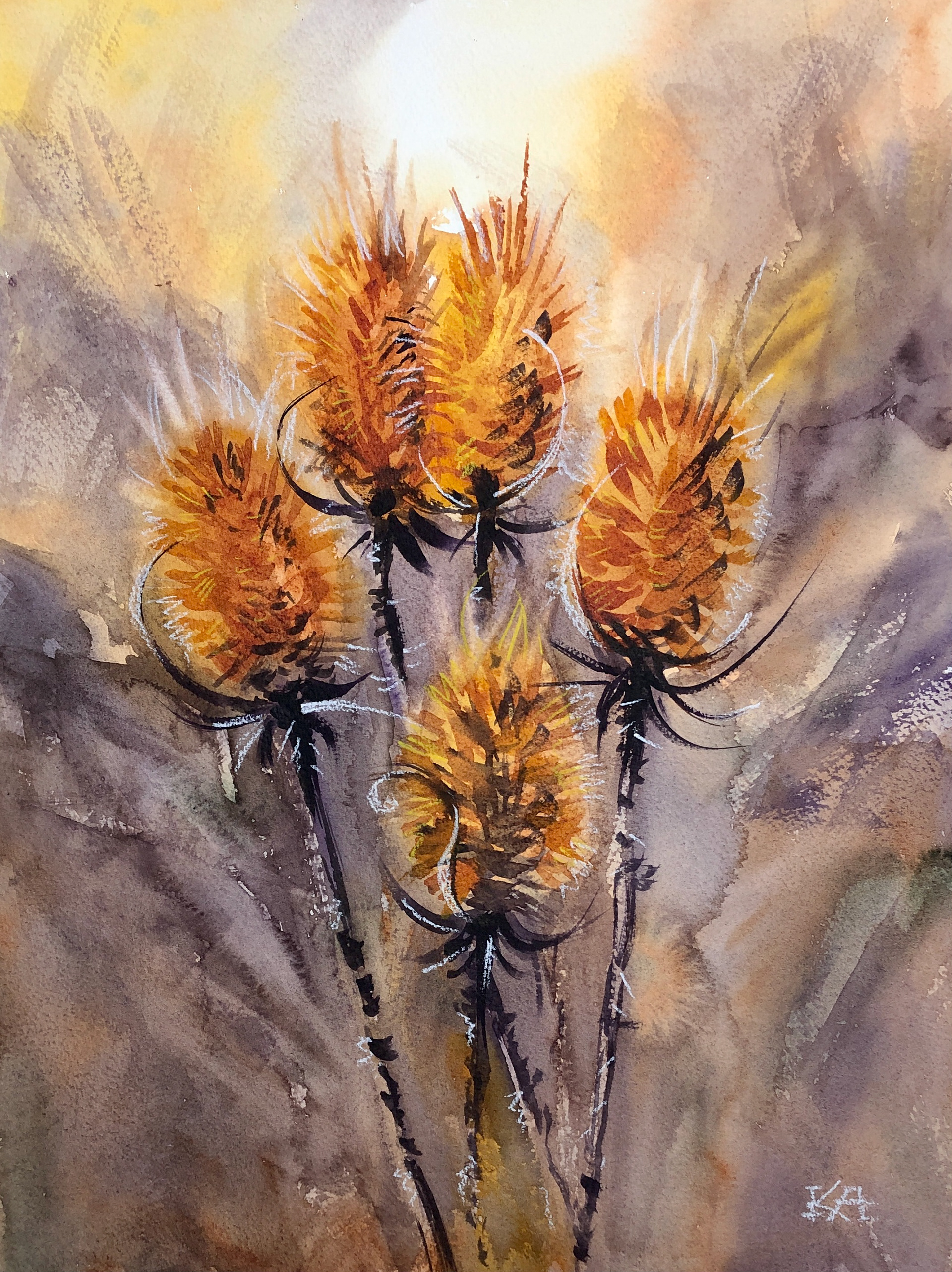 Fall thistles