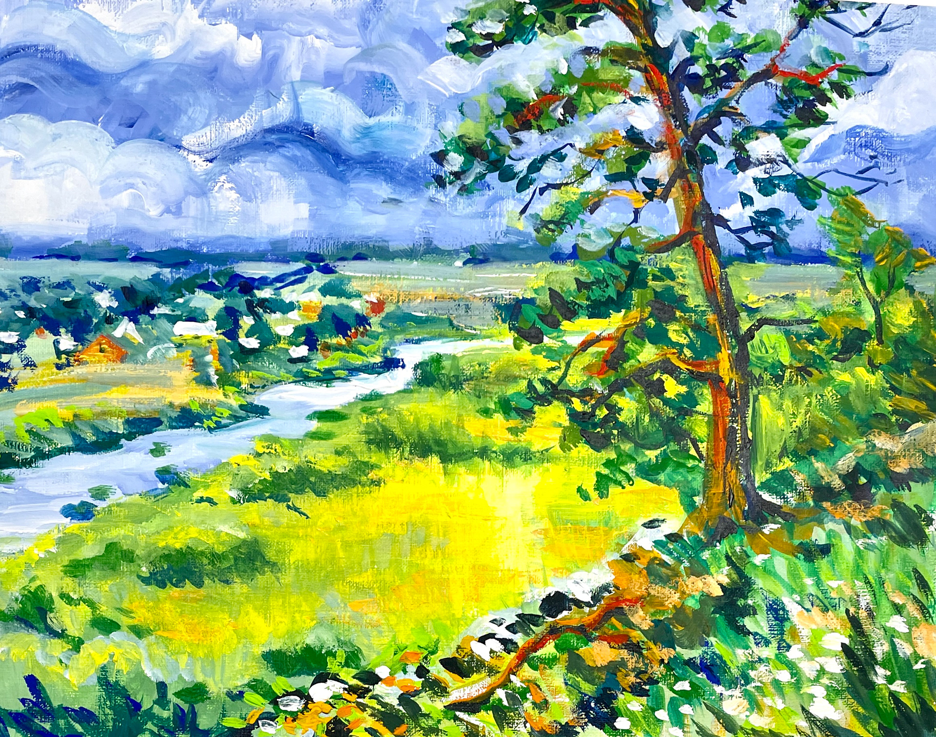 Old pine at a stream