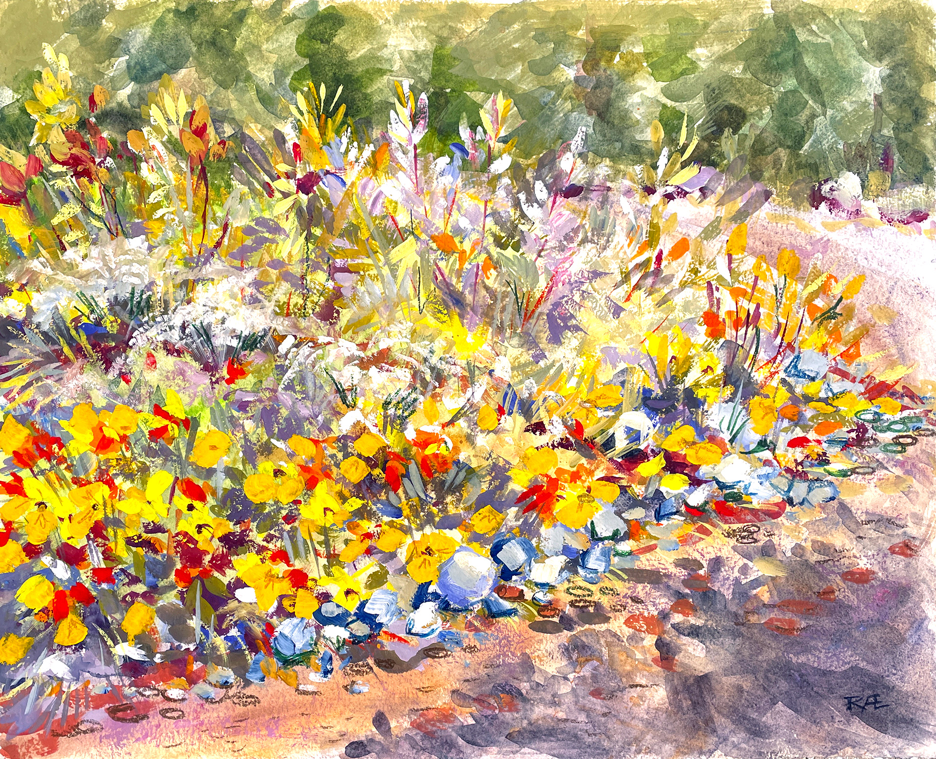 Late summer in Taos Canyon