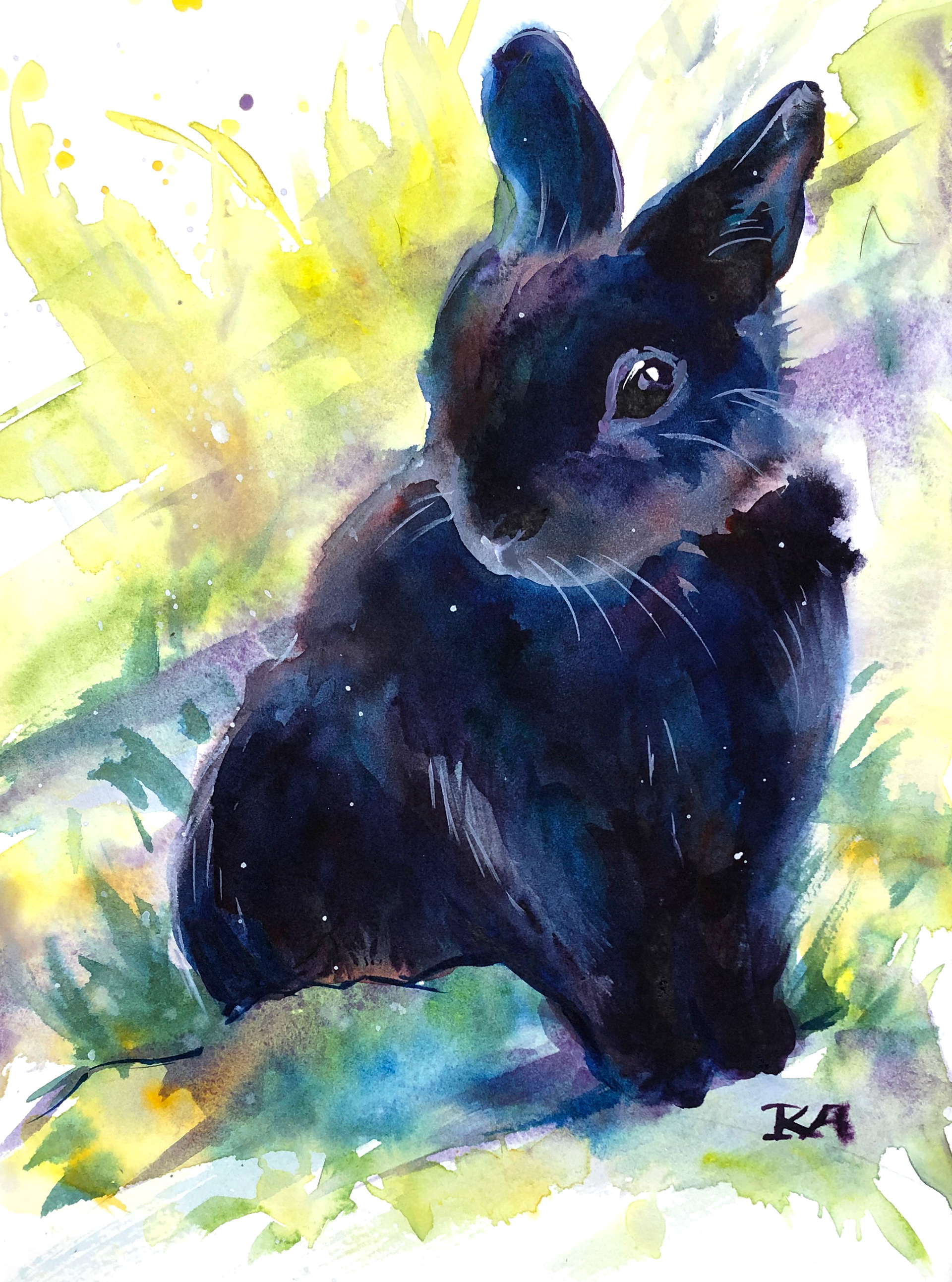 17 - 9x12